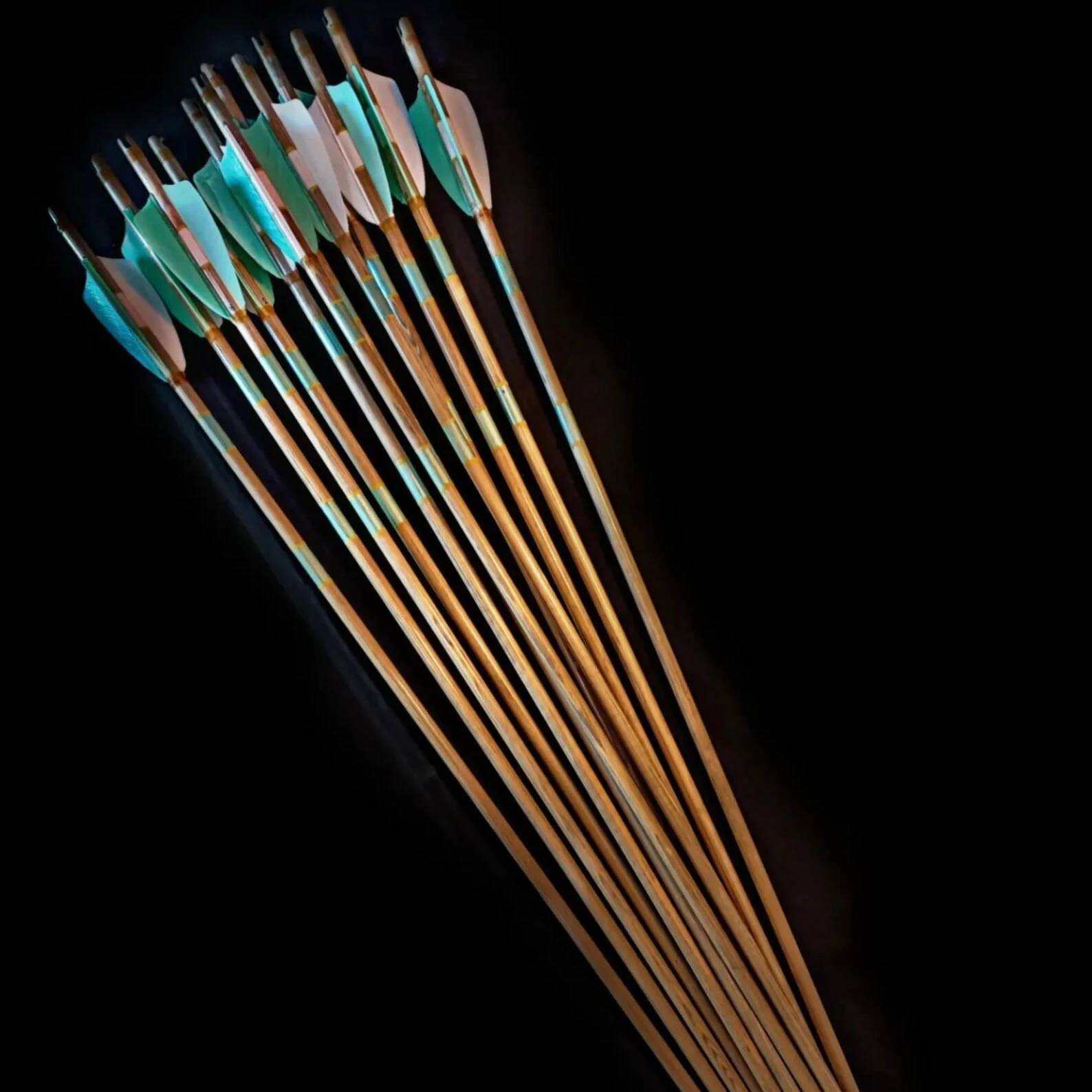 Special Shield Cut Maned Traditional Arrows - 12 Pieces