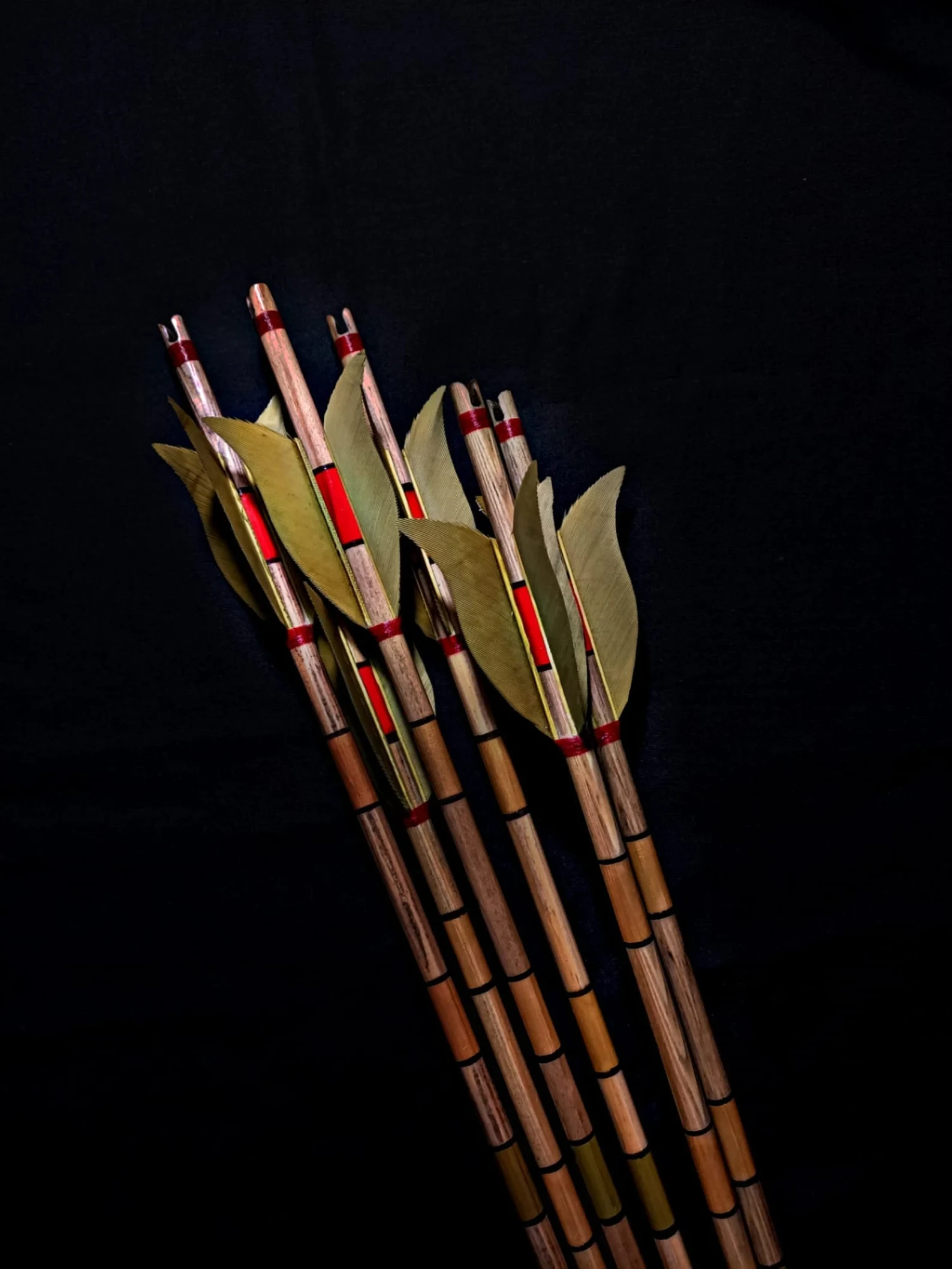 Special Khaki Tulip Maned Traditional Arrows - 12 Pieces