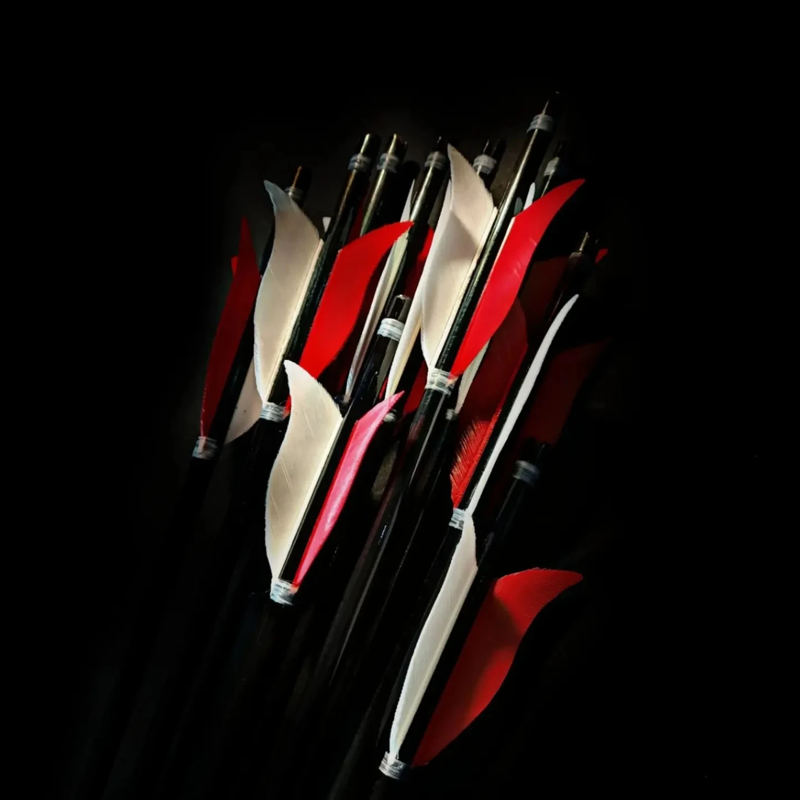 Special Red White Tulip Maned Traditional Arrows - 12 Pieces