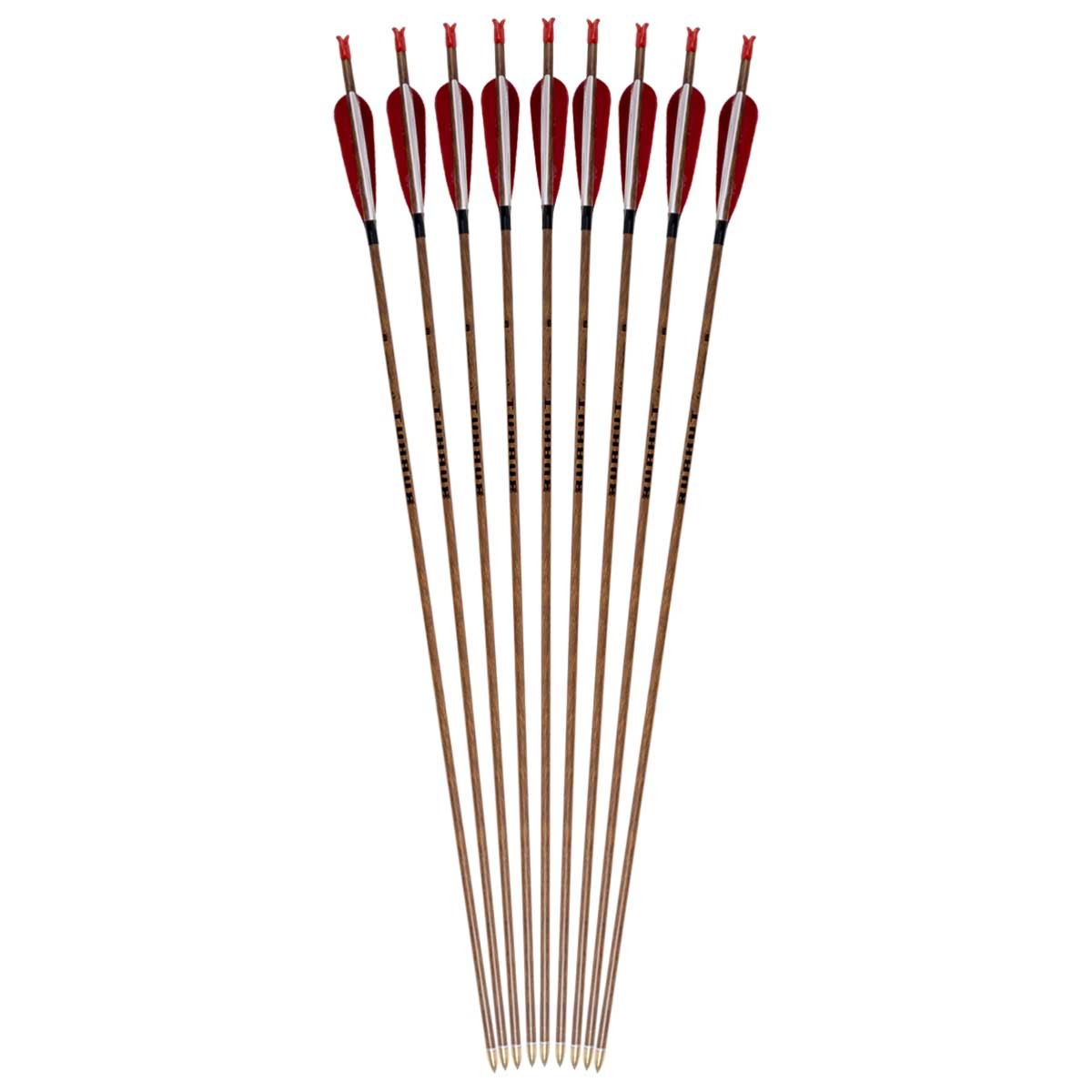 Burkut Carbon Arrow, 12 Pieces