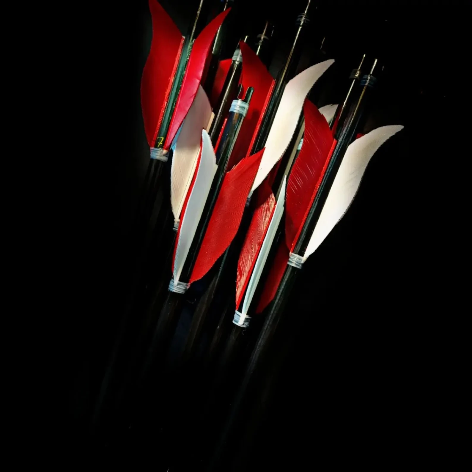 Special Red White Tulip Maned Traditional Arrows - 12 Pieces