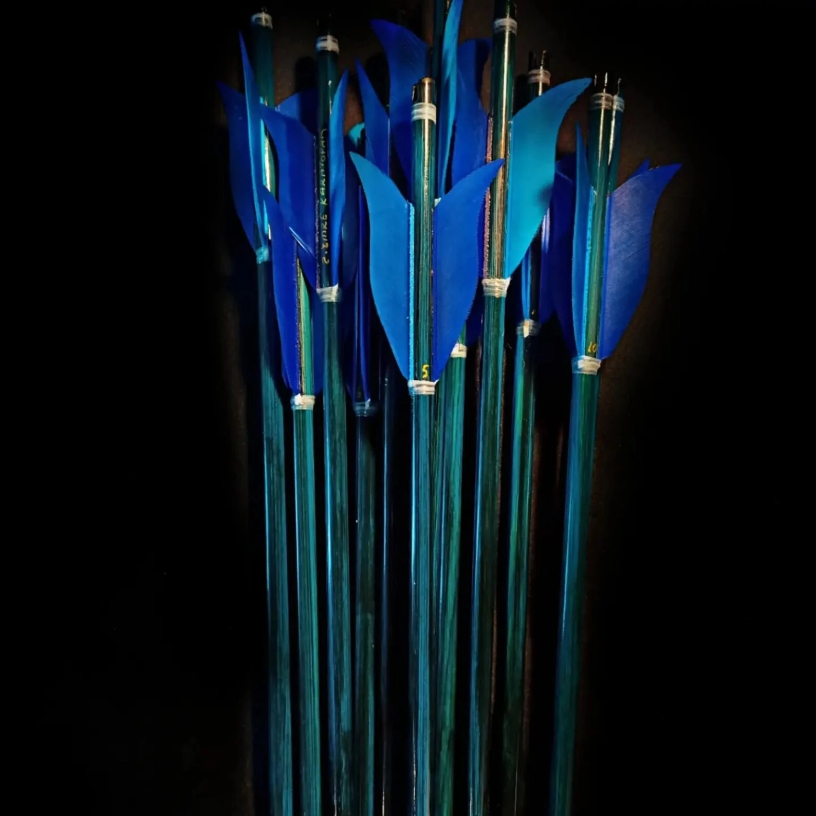 Special Blue Tulip Maned Traditional Arrows - 12 Pieces