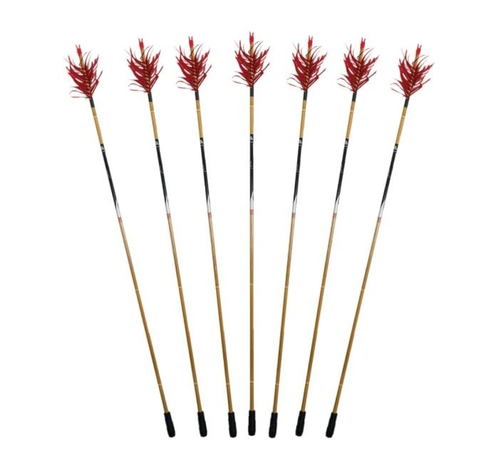 Sungur Carbon Qabaq Arrow / 12 Pieces