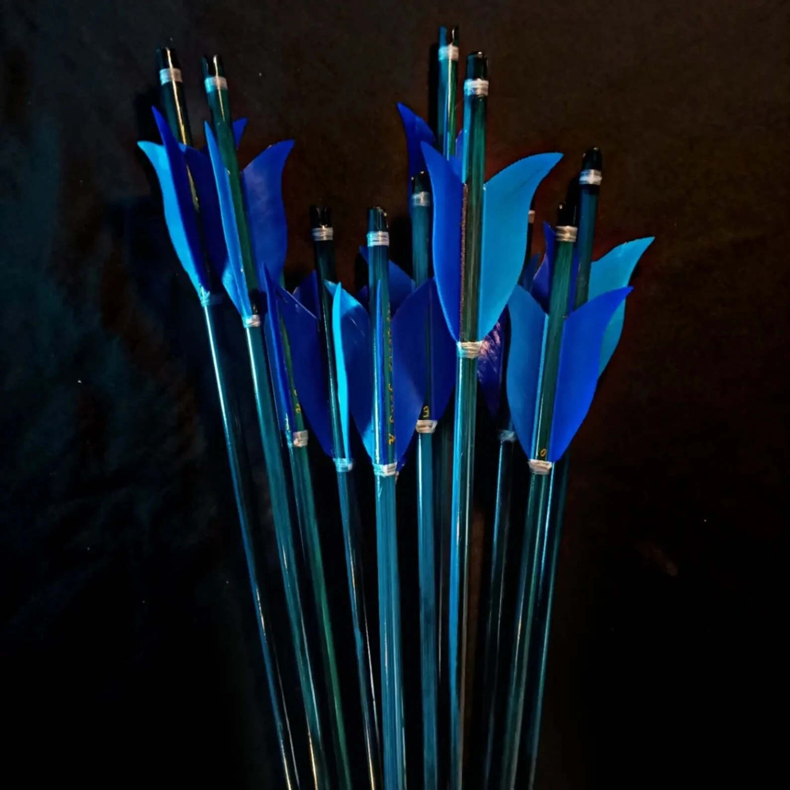 Special Blue Tulip Maned Traditional Arrows - 12 Pieces