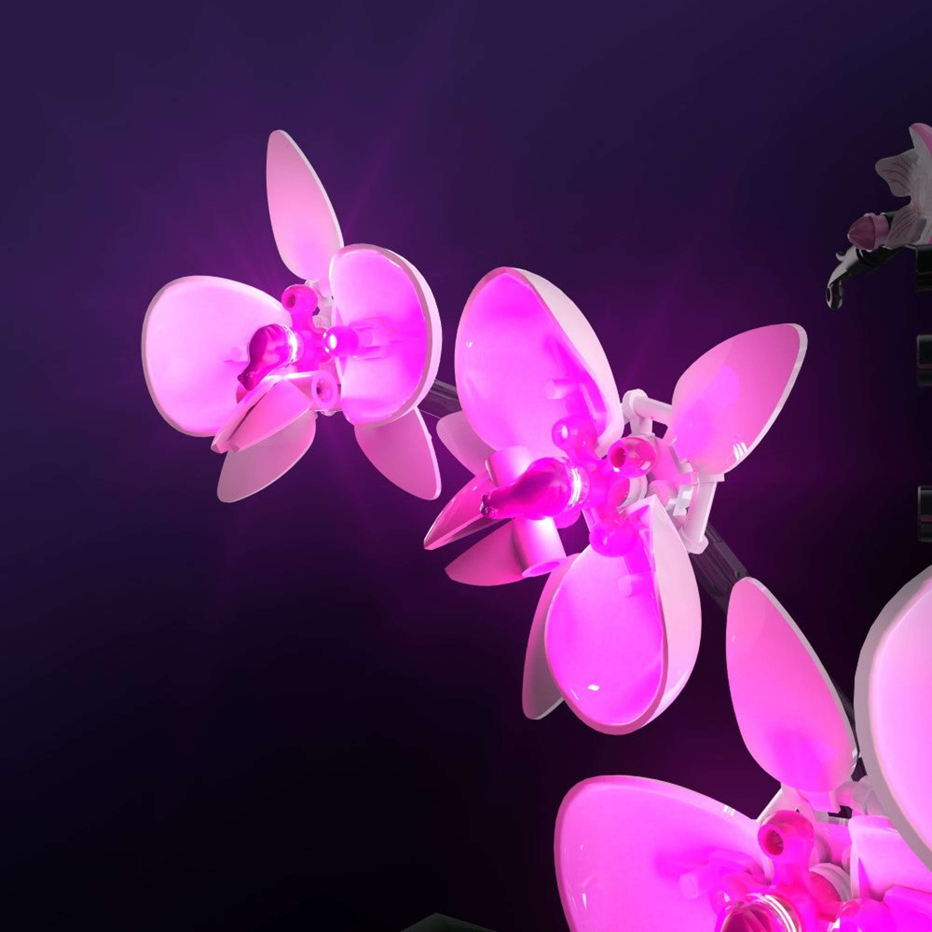 LEGO® 10311 Orchid Işık Kiti