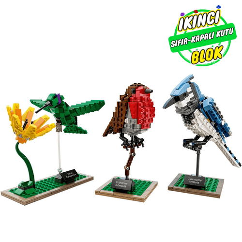 21301 LEGO® Birds Sıfır Kapalı Kutu