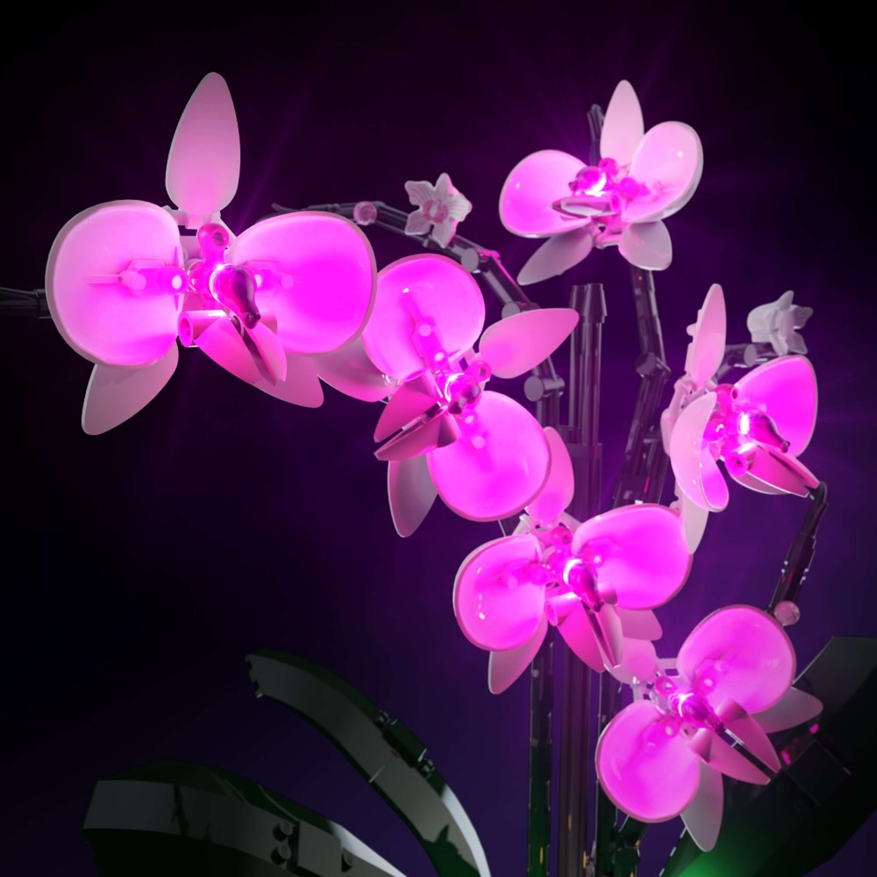 LEGO® 10311 Orchid Işık Kiti