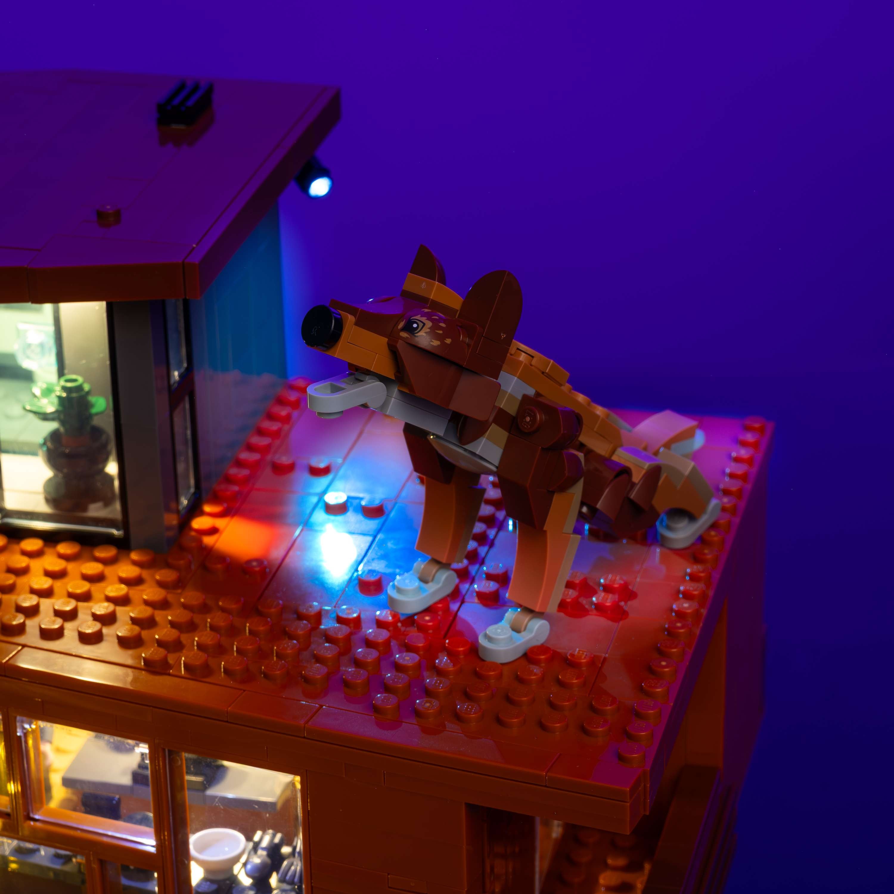 LEGO® 21354 Twilight The Cullen House Işık Kiti