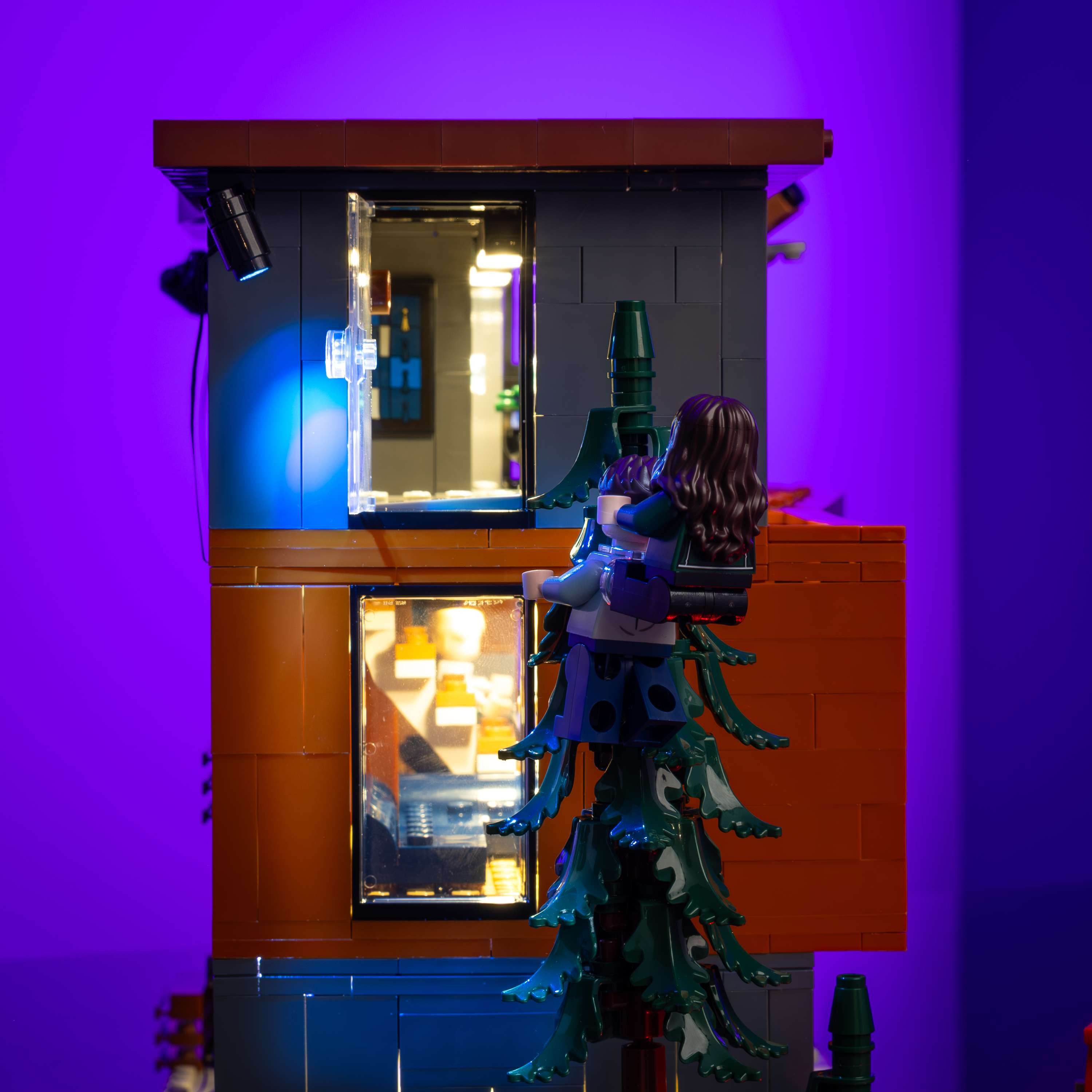 LEGO® 21354 Twilight The Cullen House Işık Kiti