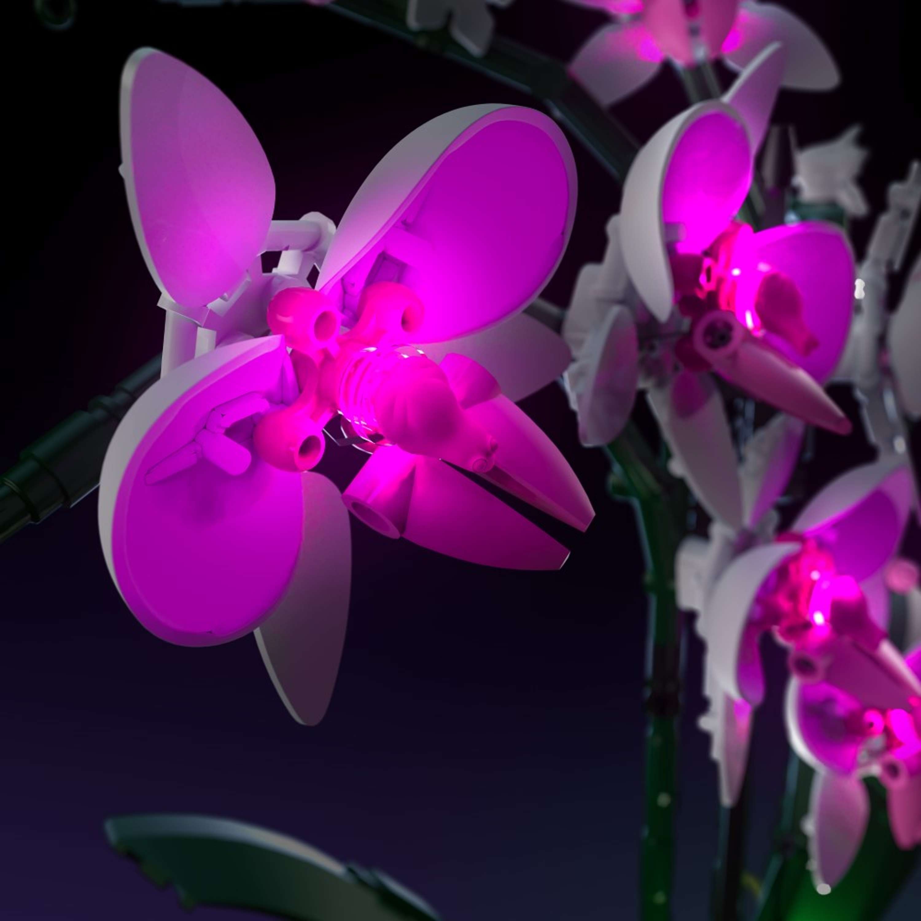 LEGO® 10311 Orchid Işık Kiti