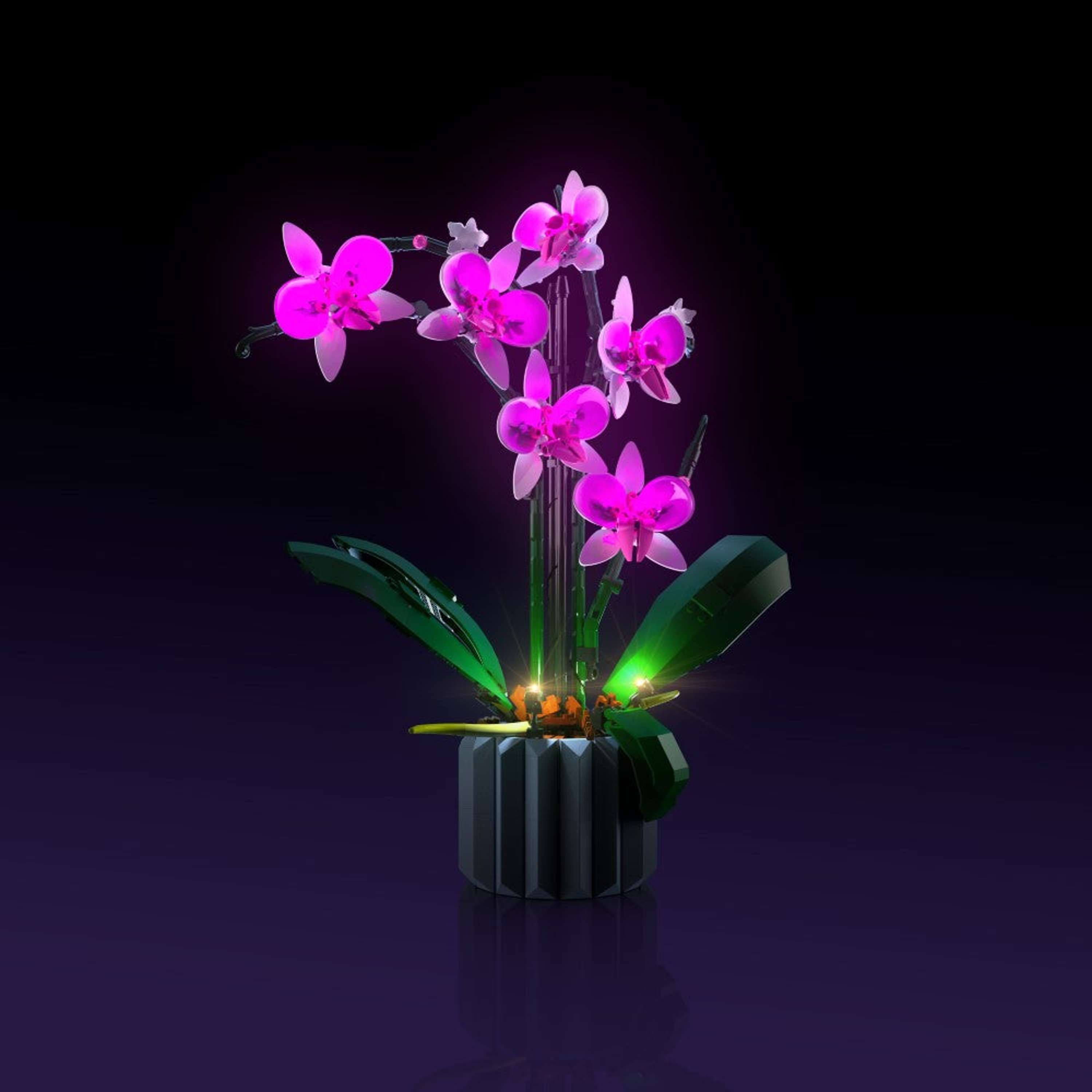 LEGO® 10311 Orchid Işık Kiti