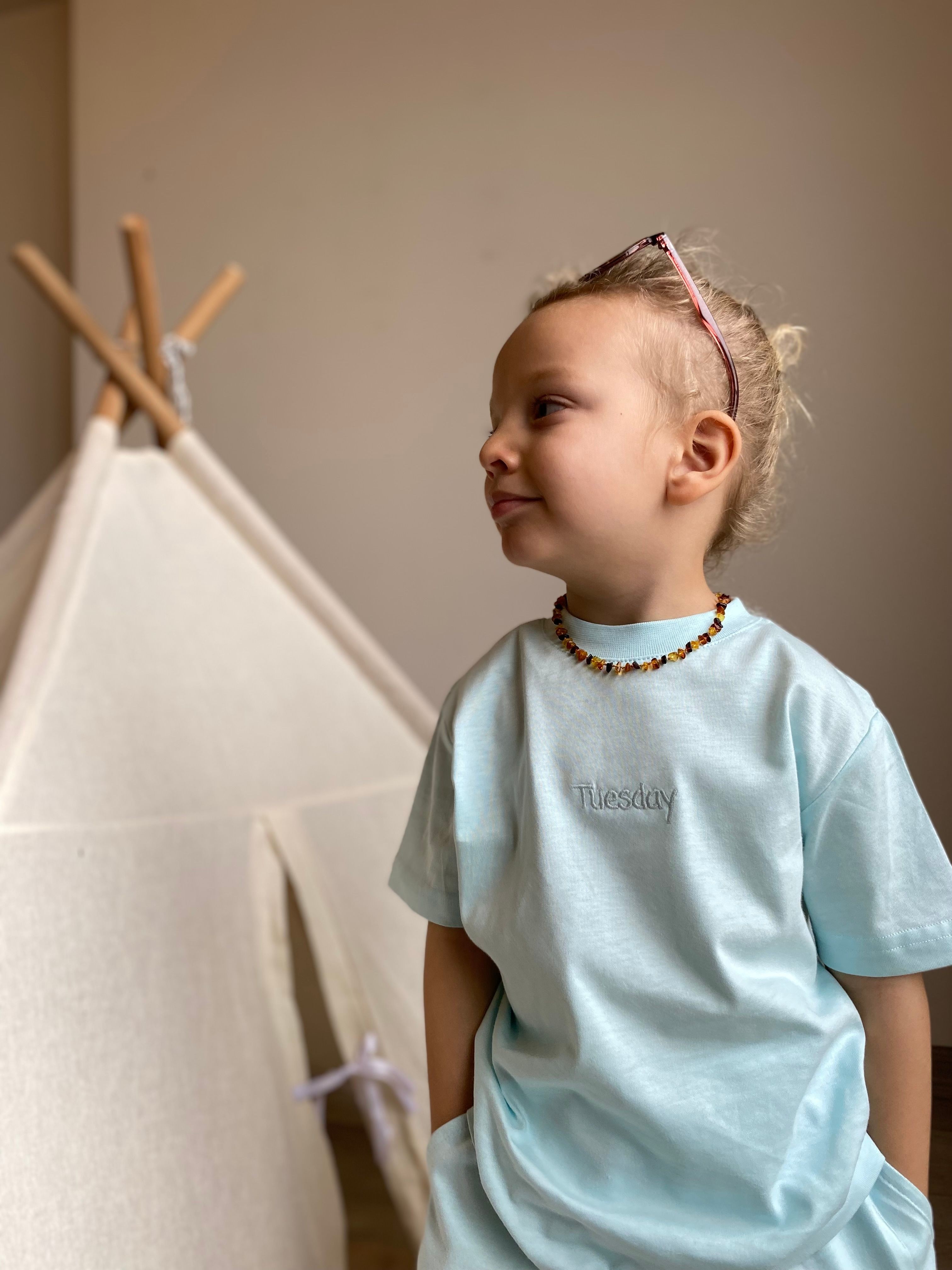 Tuesday Nakış Detaylı Bebe Mavi 2'li Şort T-shirt Takım