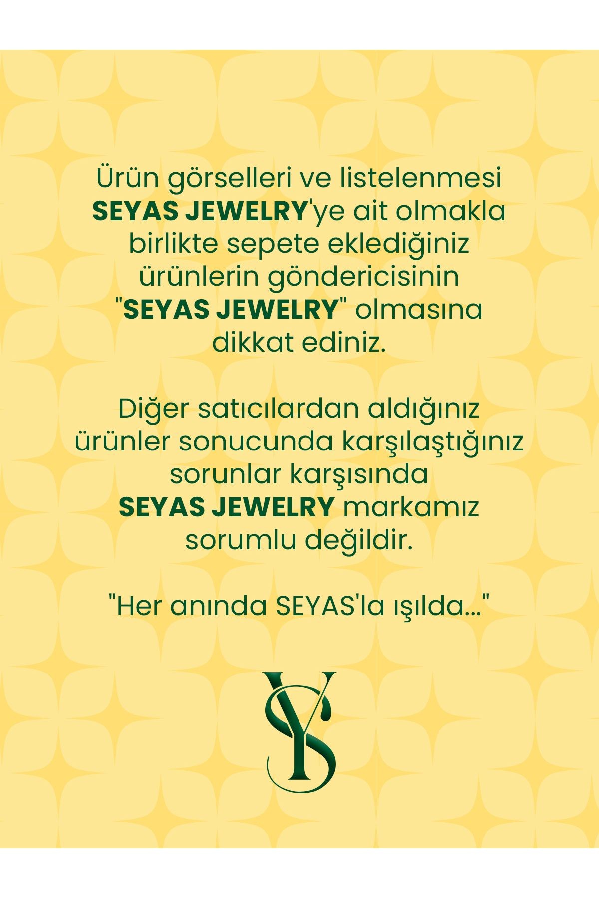 ÇELİK ZİRKON TAŞLI KALP SİLVER KOLYE