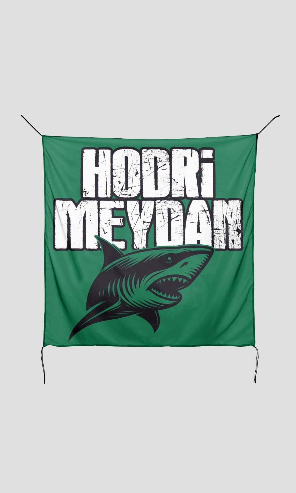 Hodri Meydan Yeşil Bayrak