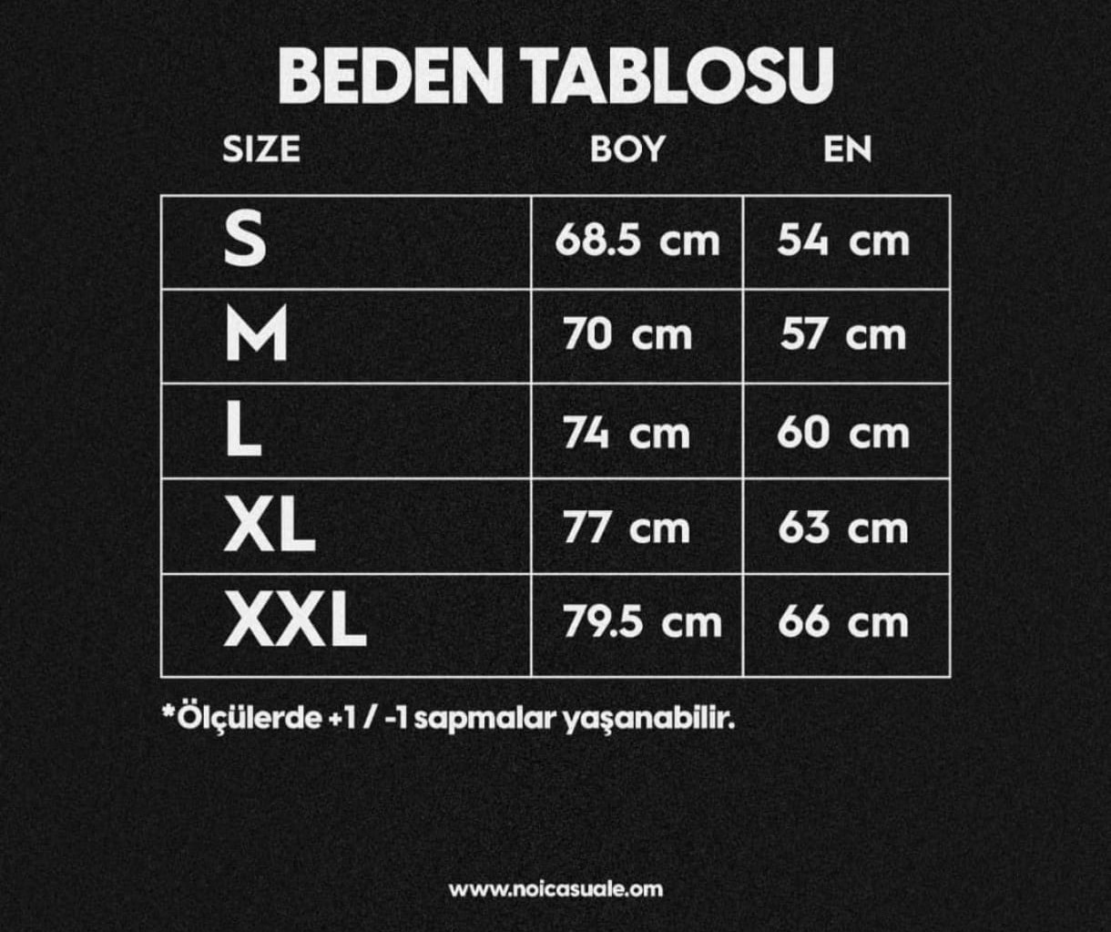 BESIKTAS HOOLIGANS 2