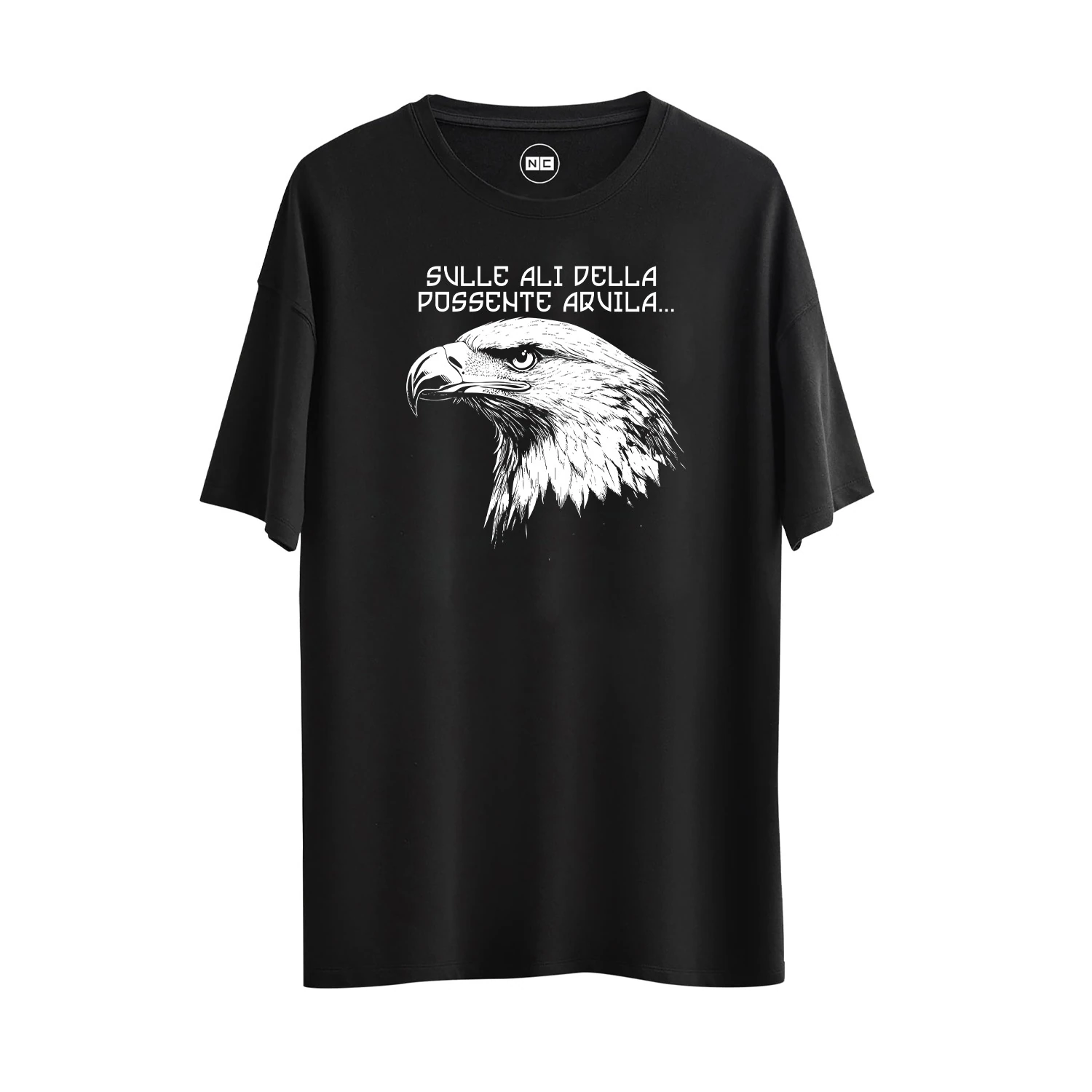 SULLE ALI DELLA POSSENTE AQUILA (Kudretli Kartalın Kanatlarında)