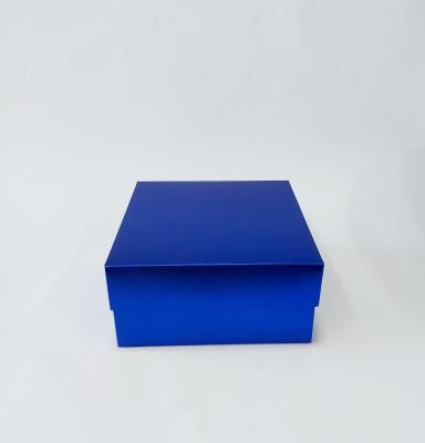 20x20x10 Çok Amaçlı Kutu