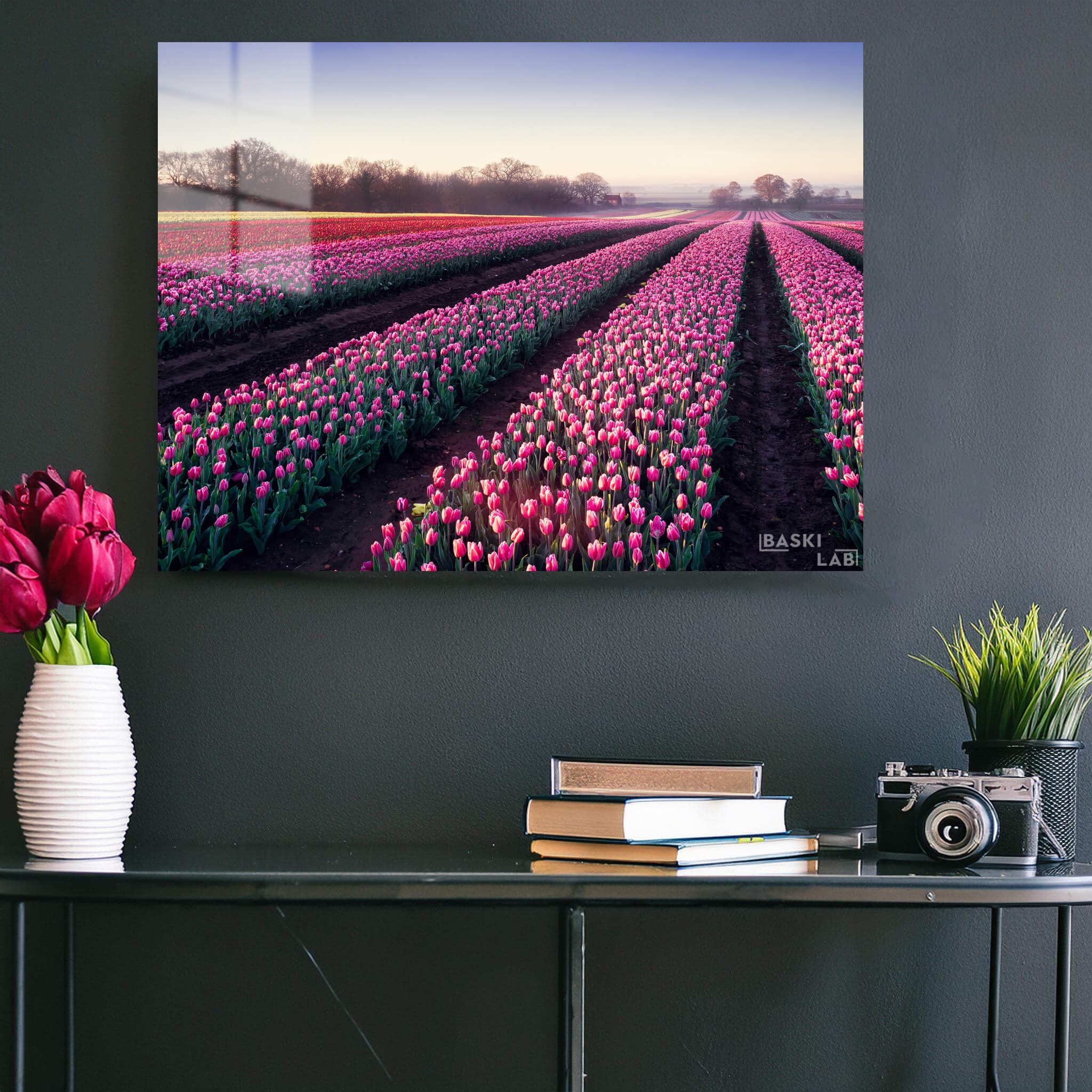 Tulips Field Metal Poster 162