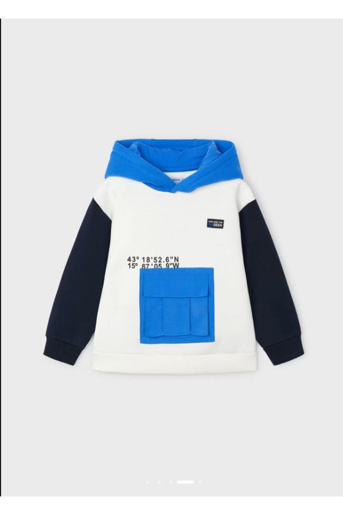 Erkek Çocuk Kapşonlu Sweatshirt 4457