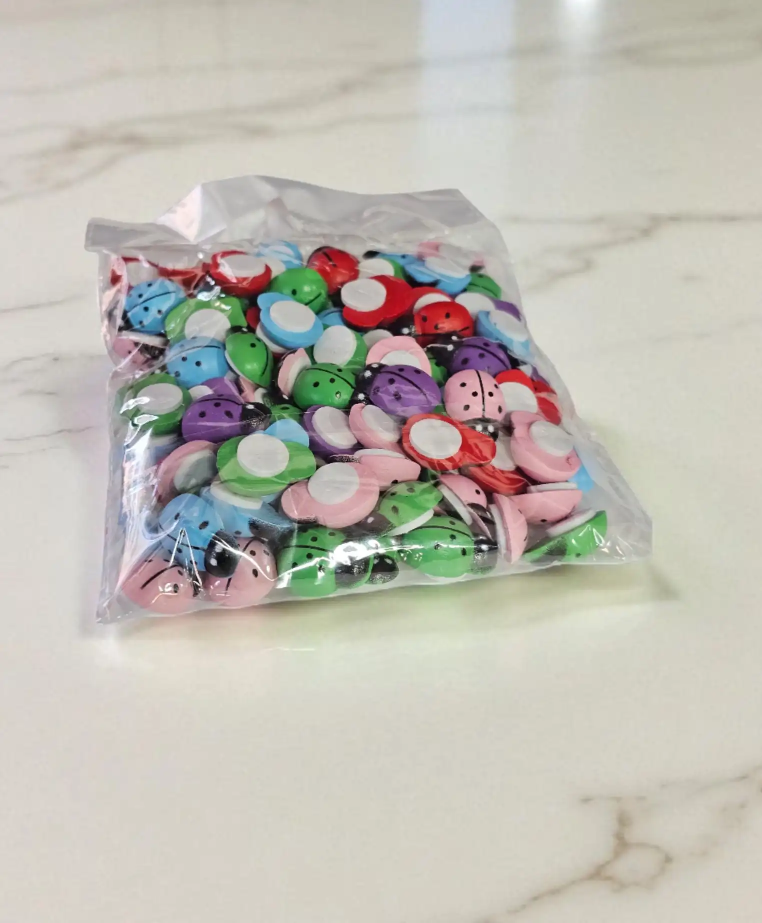 Uğur Böceği - Rengarenk