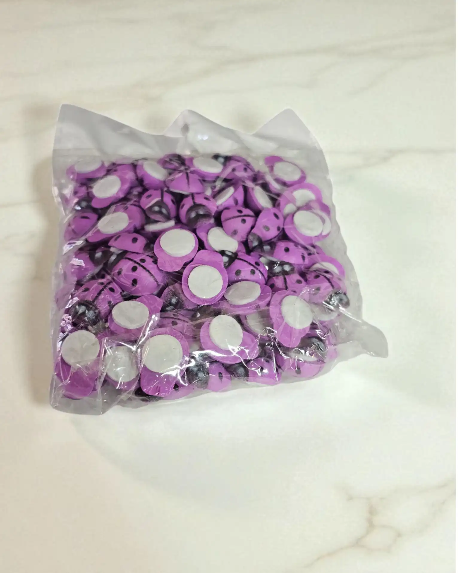 Uğur Böceği - Mor