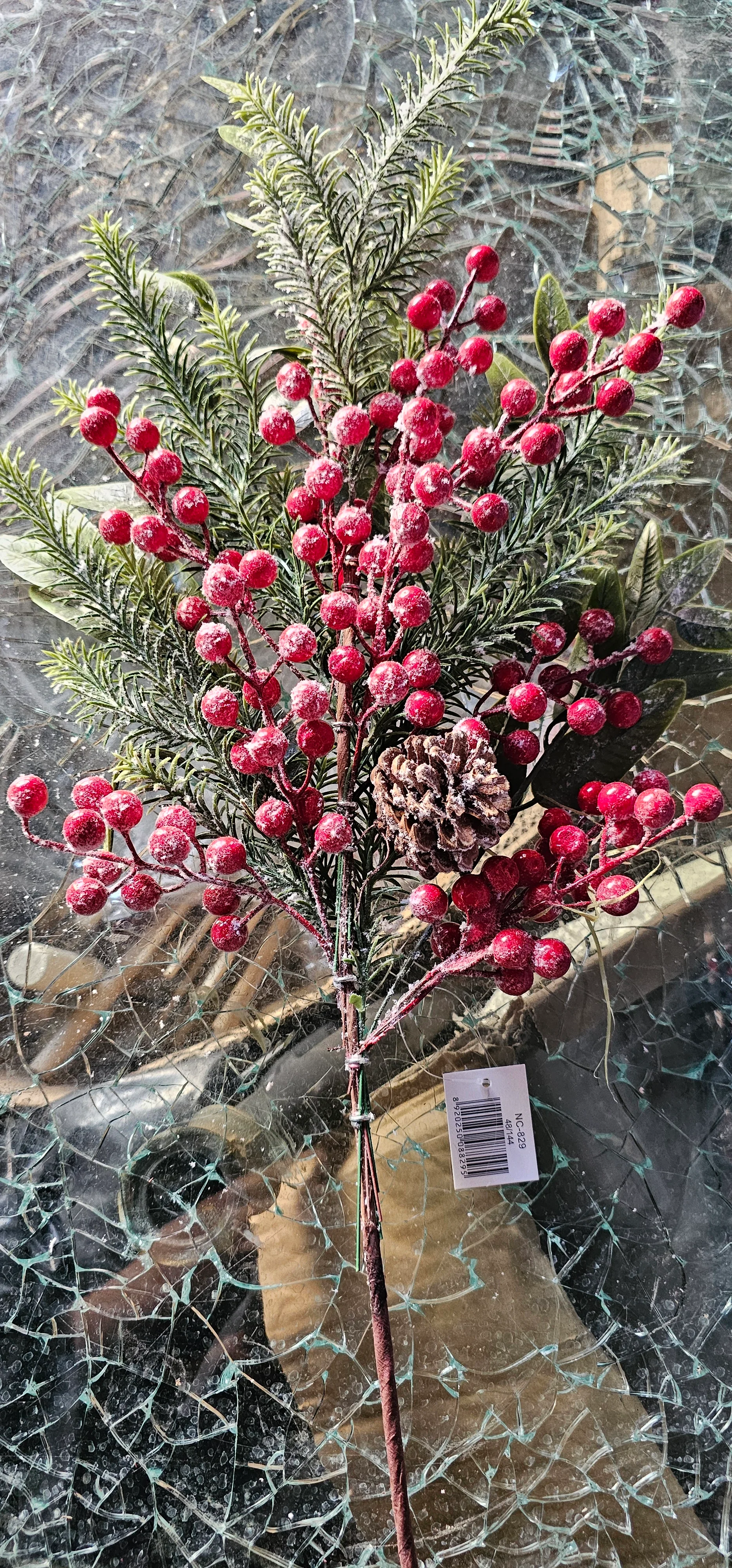 Yılbaşı kokina dalı 