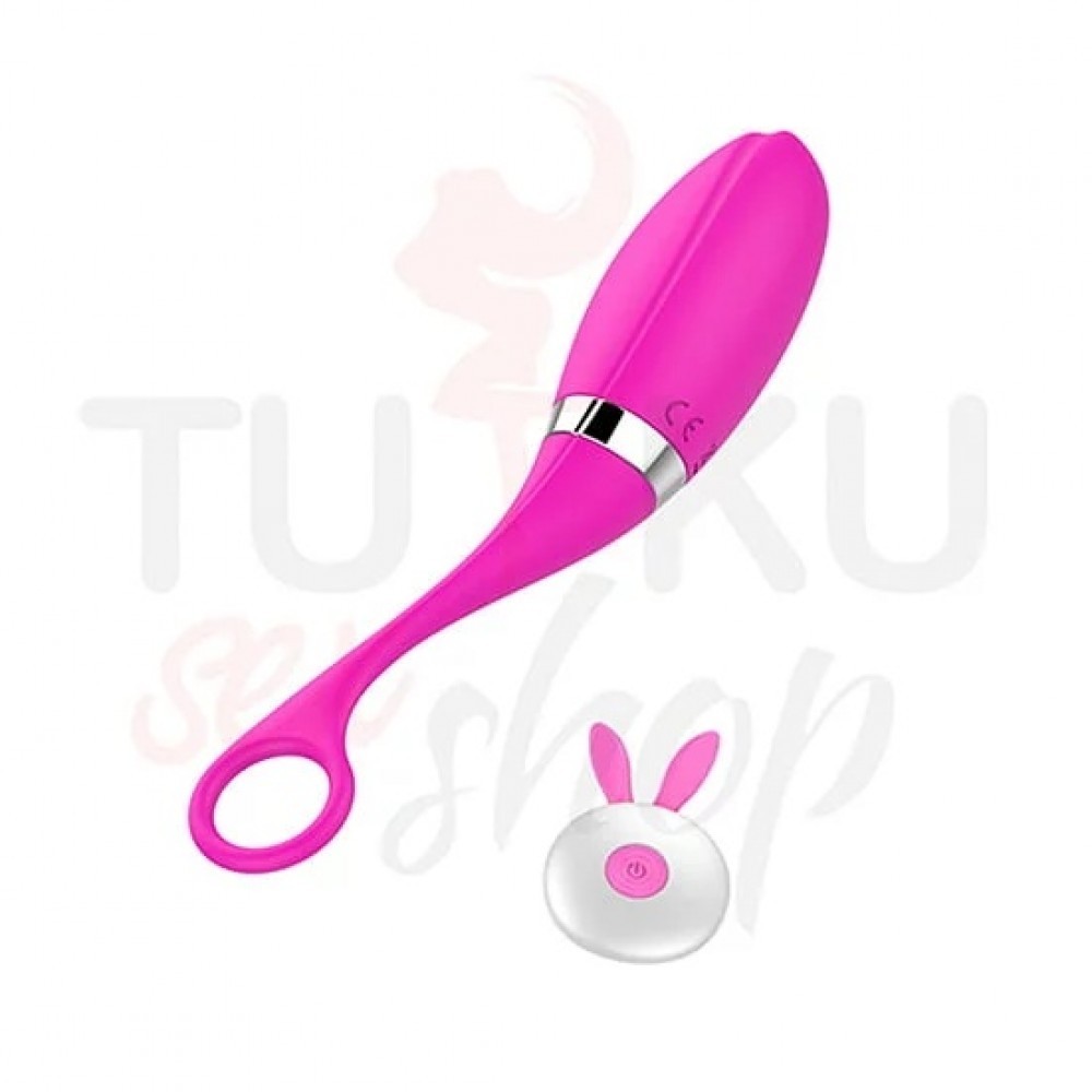Şarjlı Uzaktan Kumandalı Mini Vibratör 