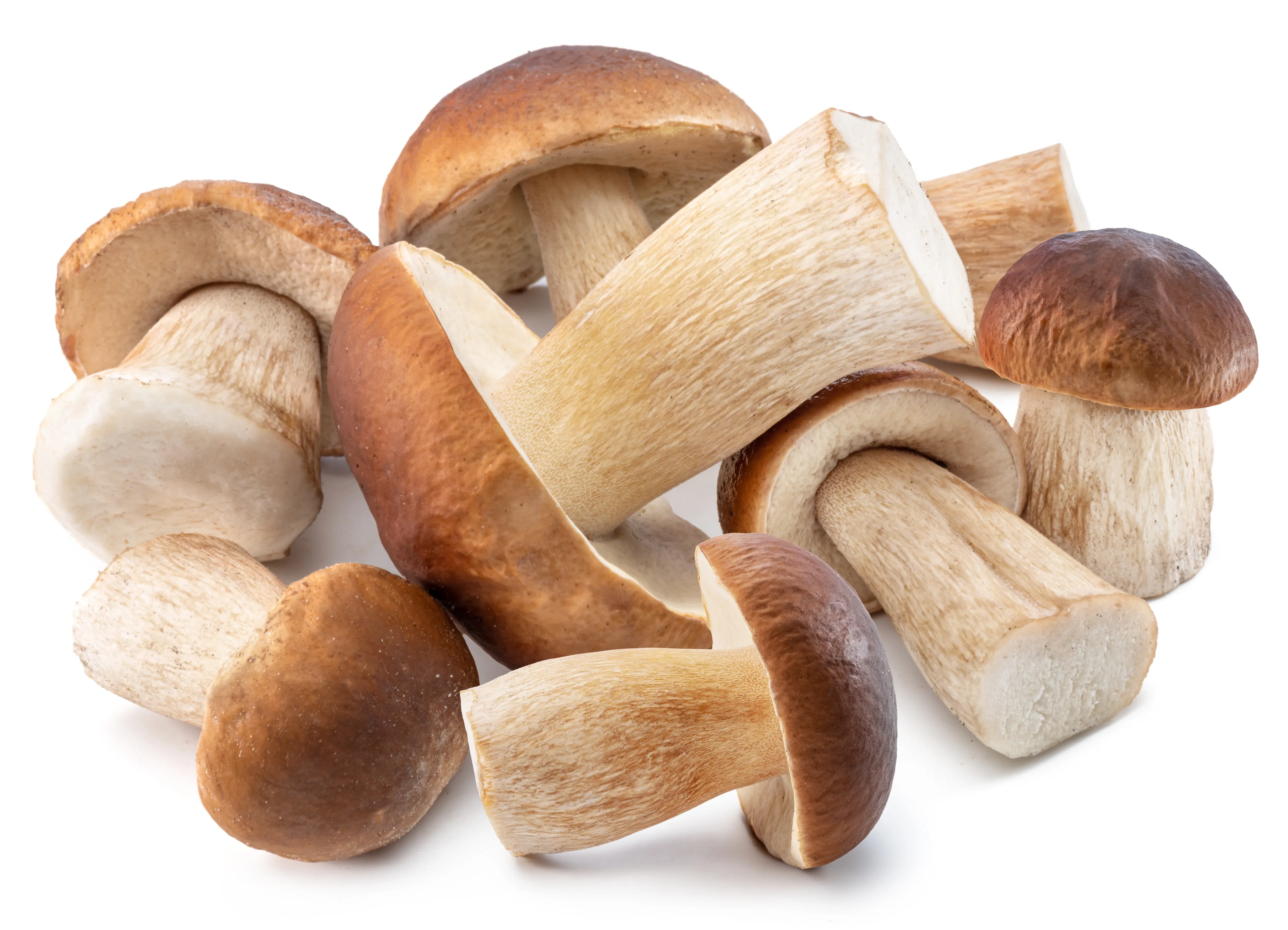 Porçini Mantarı (-18°C Dondurulmuş)