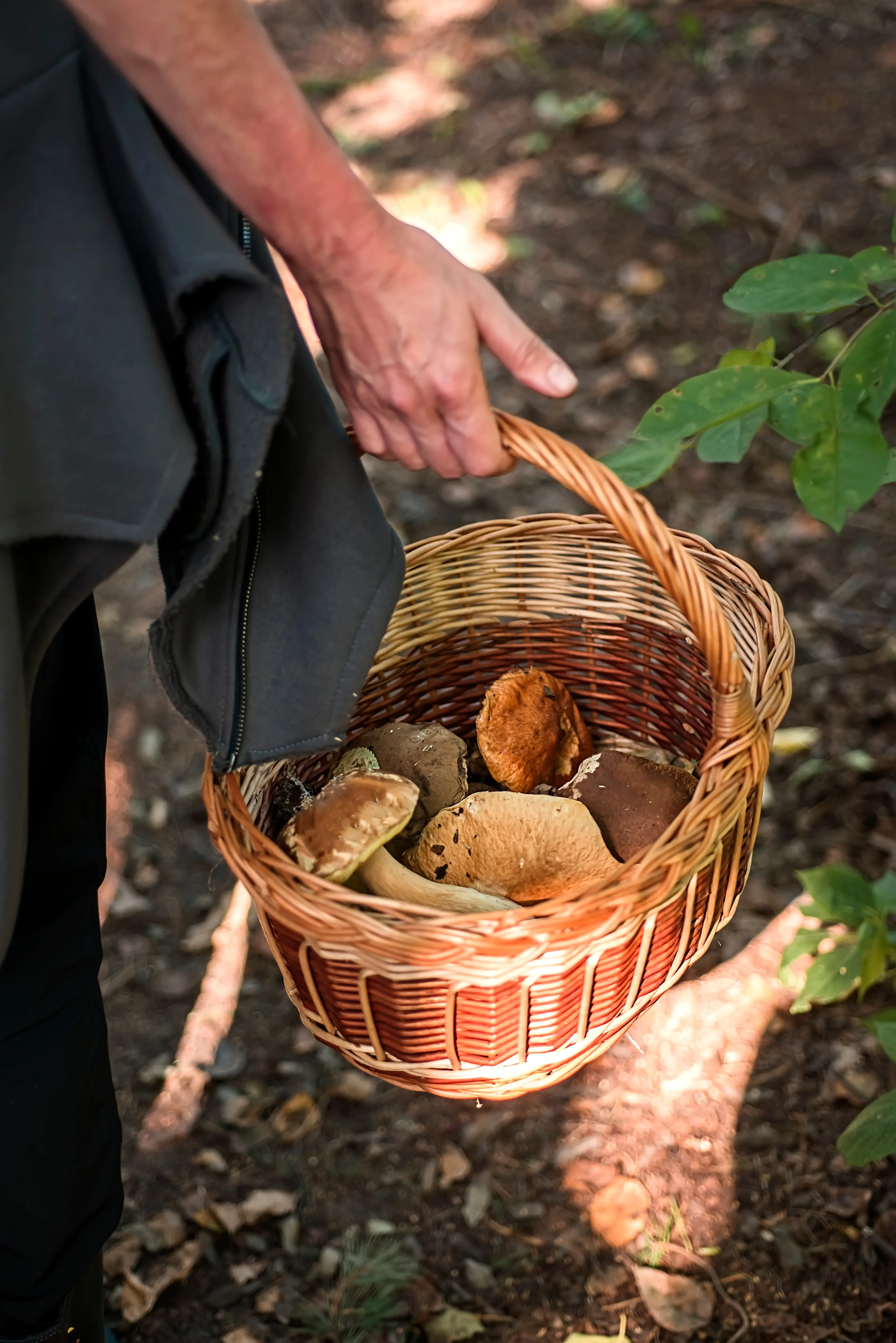 Porçini Mantarı (-18°C Dondurulmuş)