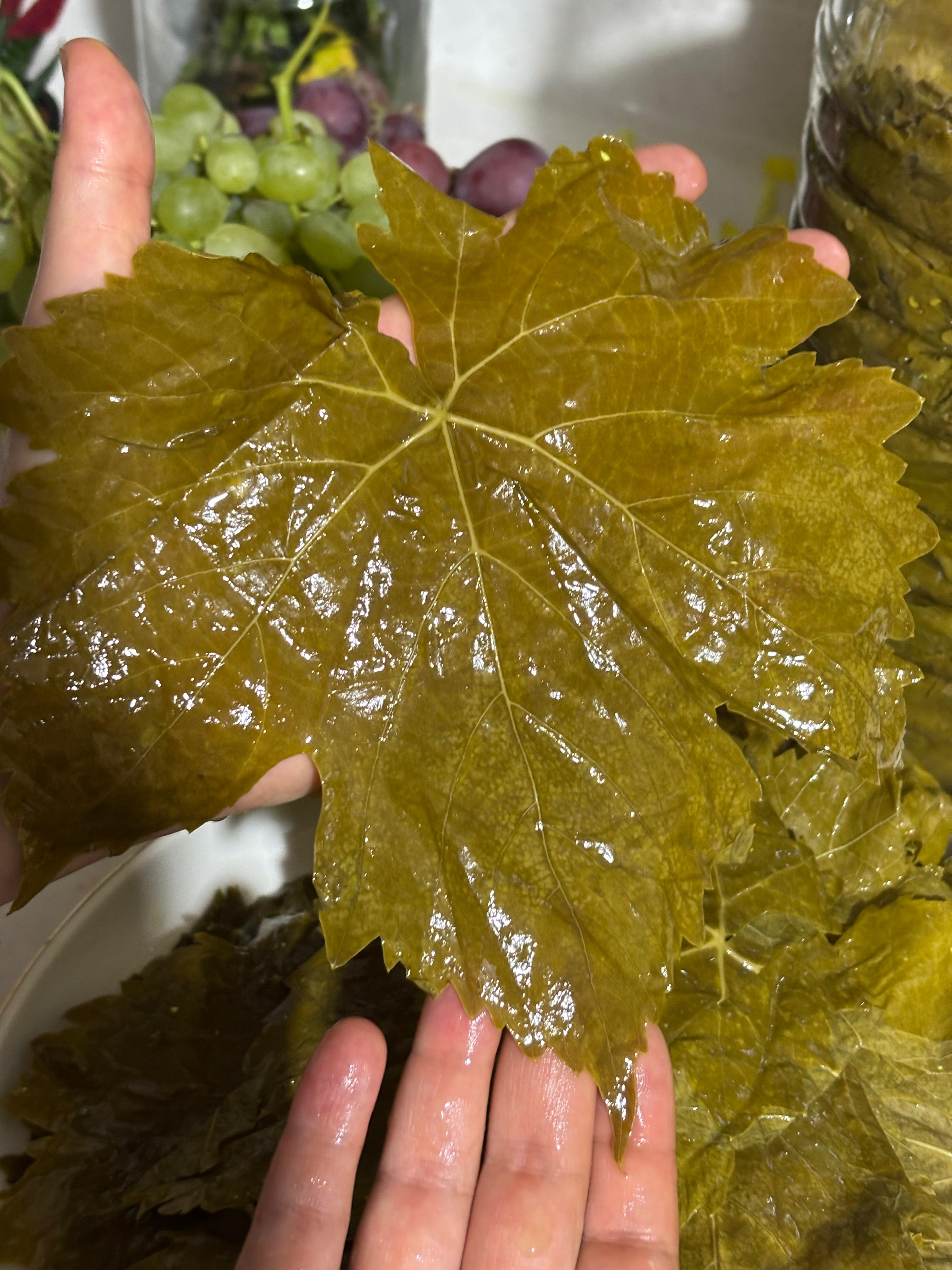 Salamura Asma Yaprak 2'lik Bidon Hatçe Teyze - (Net 1.5 kg)