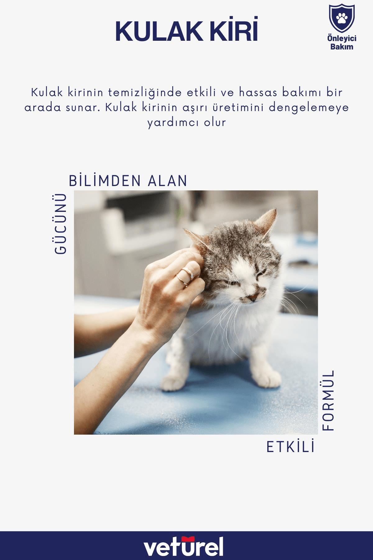 Kedi Kulak Temizleme Solüsyonu Kir Enfeksiyon Kaşıntı Köpek Kulak Uyuzu Koku Önleyici Bakım 100ml