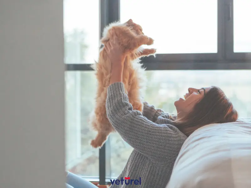 kedilerin güveni nasıl kazanılır