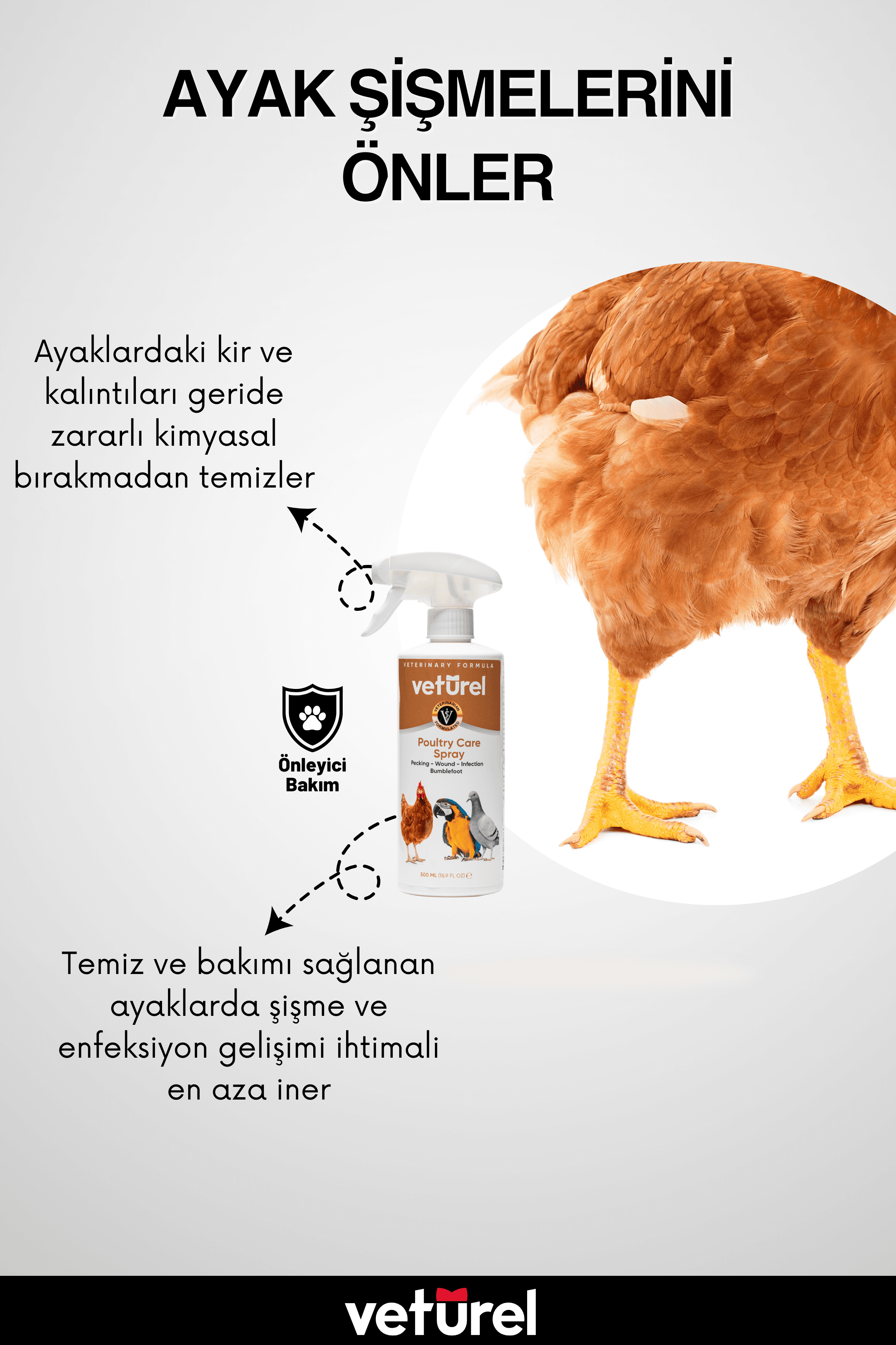 Kanatlı Hayvan Bakımı Kuş Tavuk Papağan Kanarya Tüy Bakımı Göz Ayak Yara Enfeksiyon Refill 1000ml