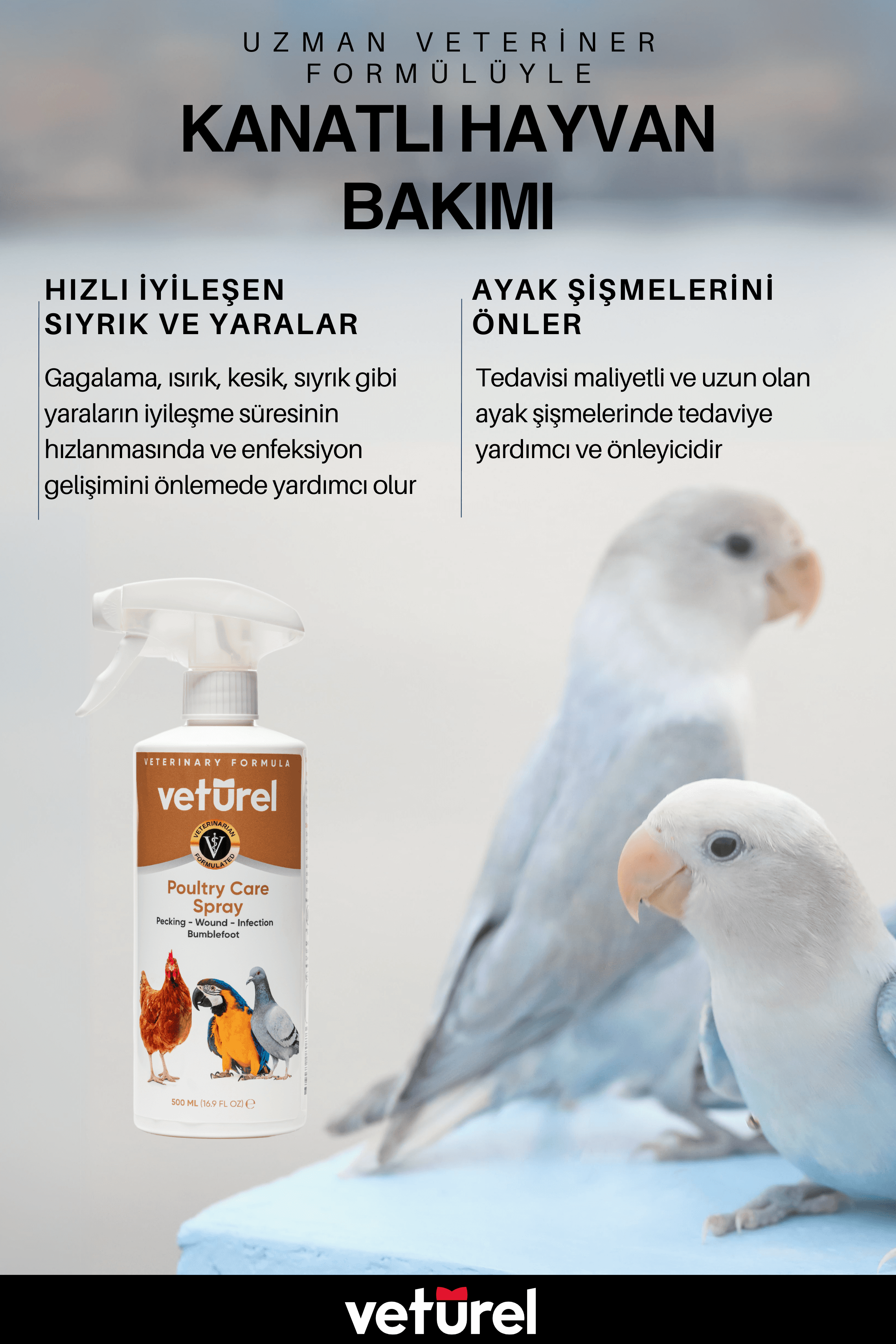 Kanatlı Hayvan Bakımı Kuş Tavuk Papağan Kanarya Tüy Bakımı Göz Ayak Yara Enfeksiyon Refill 1000ml