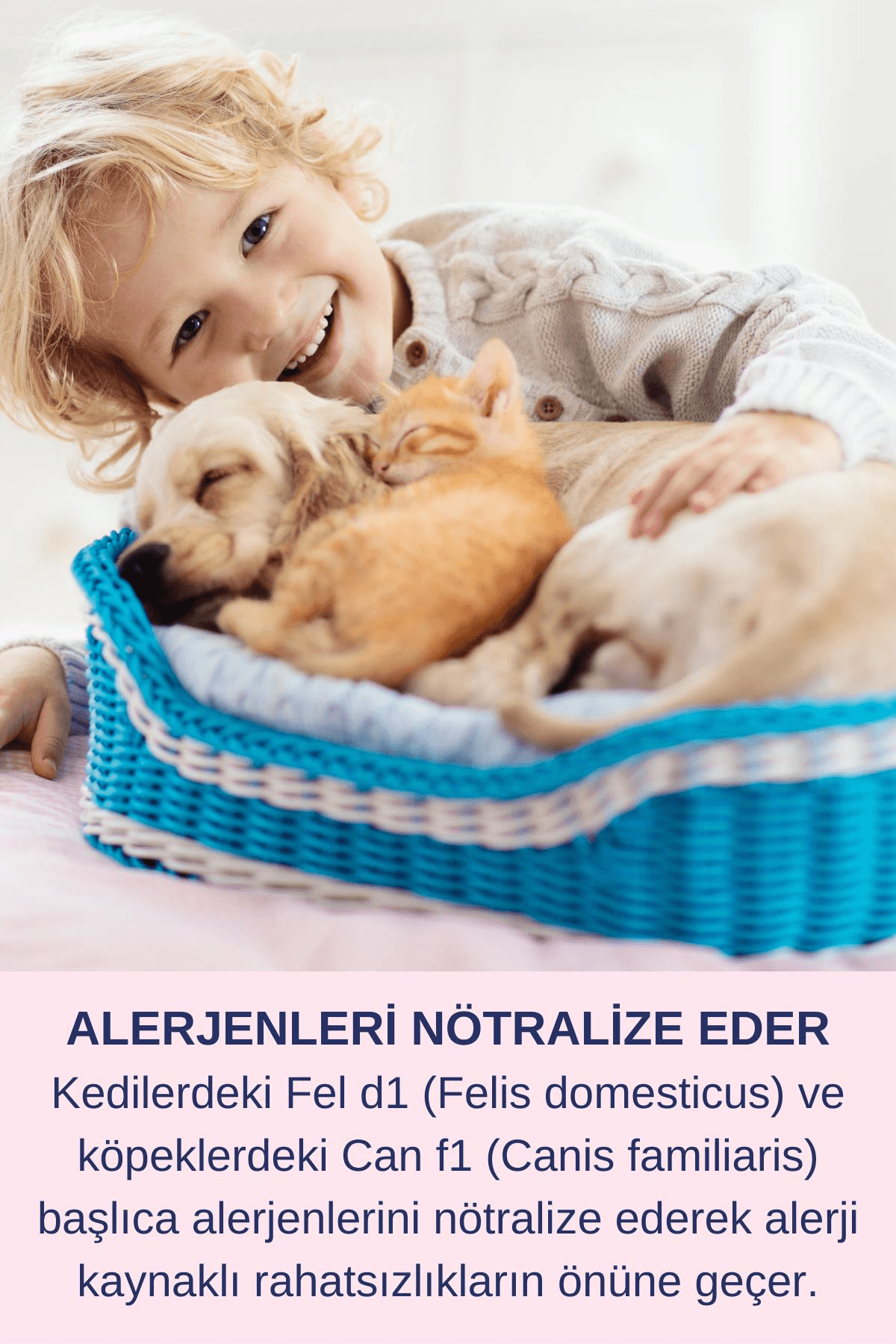 Köpek Koku Giderici Köpek Ağız Kokusu Köpek Sağlık Köpek Bakım PET 750ml - Ağız Diş Bakım Spreyi