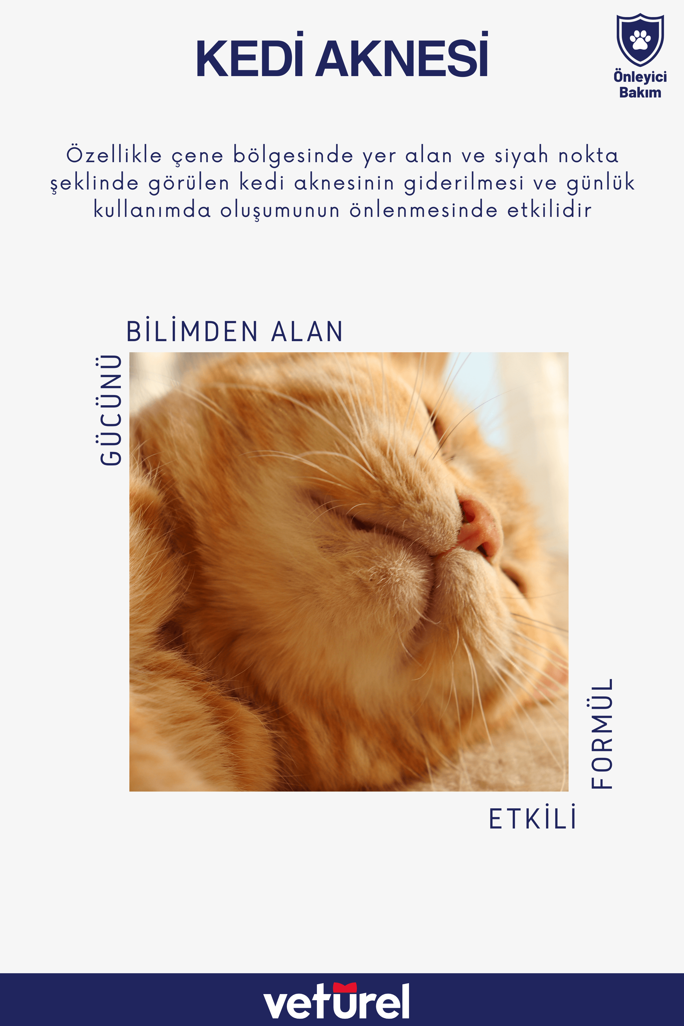 Kedi Yüz Temizleme Solüsyonu Kedi Aknesi Gözyaşı Lekesi Göz Damlası Akıntı Kaşıntı Bakımı 100ml