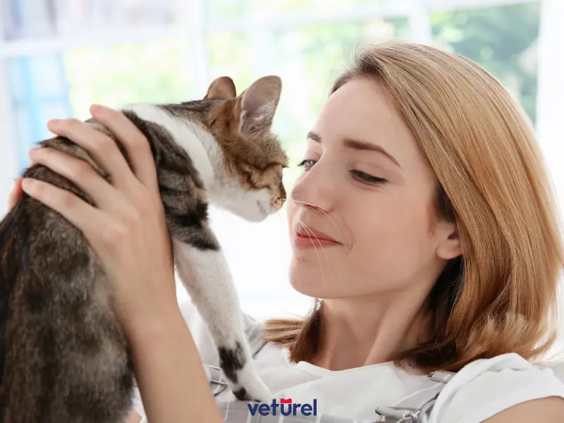 ilk kez kedi sahipleneceklere tavsiyeler