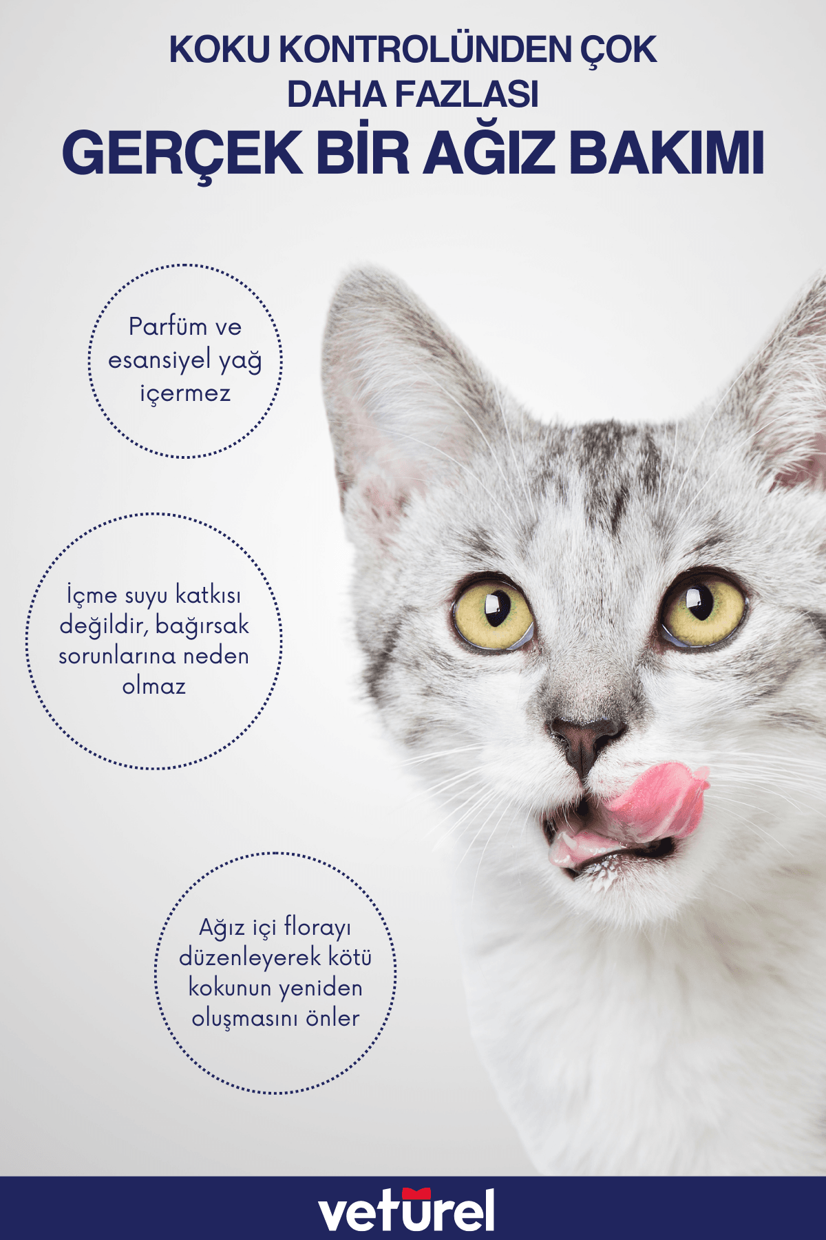 Köpek Pati Temizleme Köpek Ağız Kokusu Köpek Sağlık Pati Tüy Bakım 300ml - Ağız ve Diş Bakım Spreyi