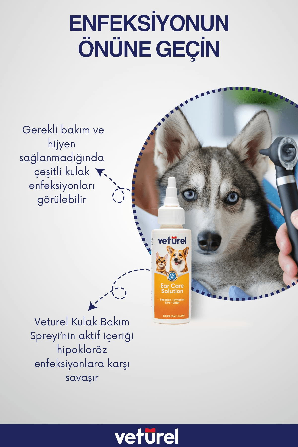 Veturel Köpek Kulak Temizleme Solüsyon Kir Enfeksiyon Kaşıntı Koku Kulak Uyuzu 100ml Disk Pamuk 50li