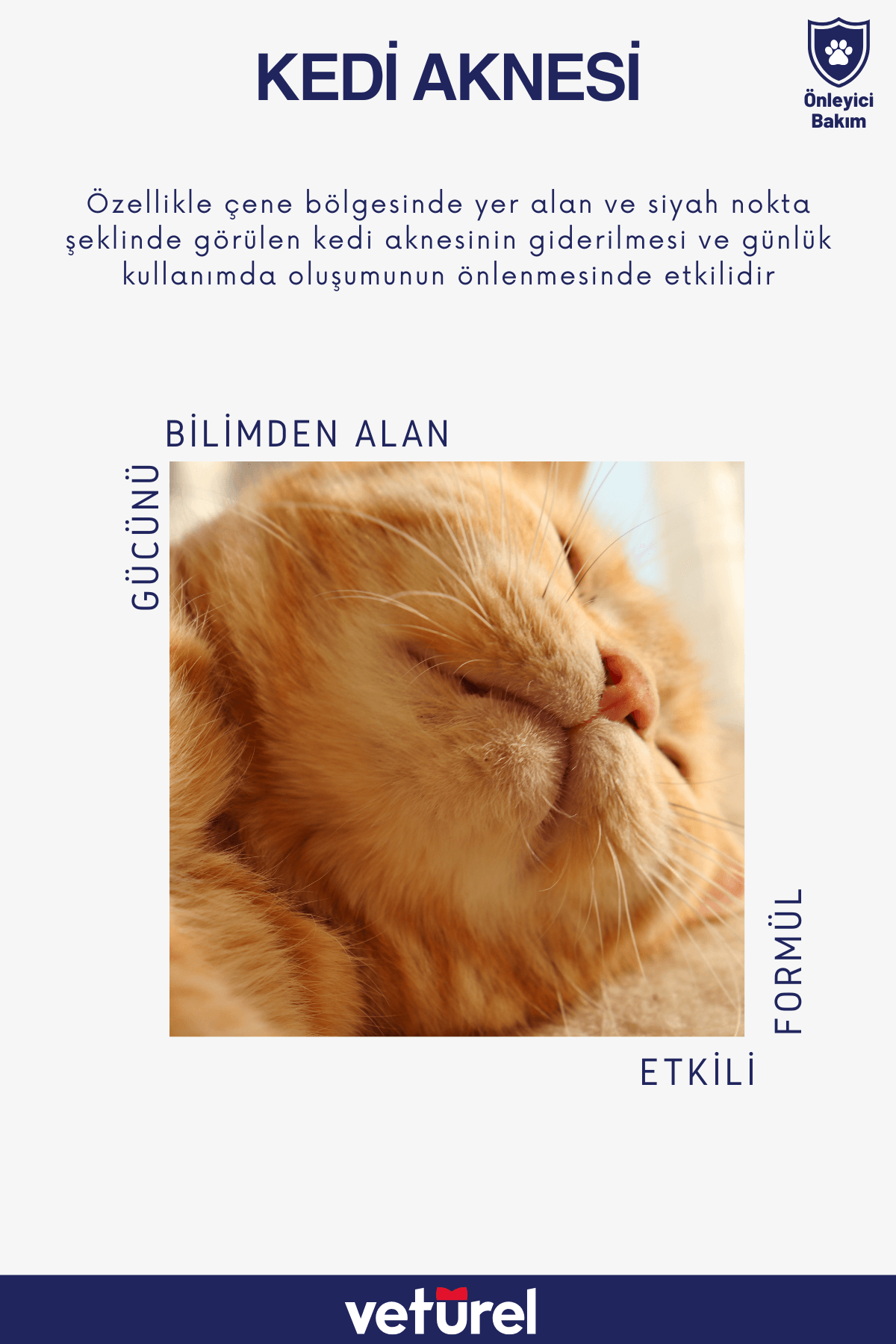 Kedi Aknesi Pati Bakımı Kedi Tüy Sağlığı Kedi Pati Temizleme Pati Temizleyici 300ml Kedi Yüz Bakımı