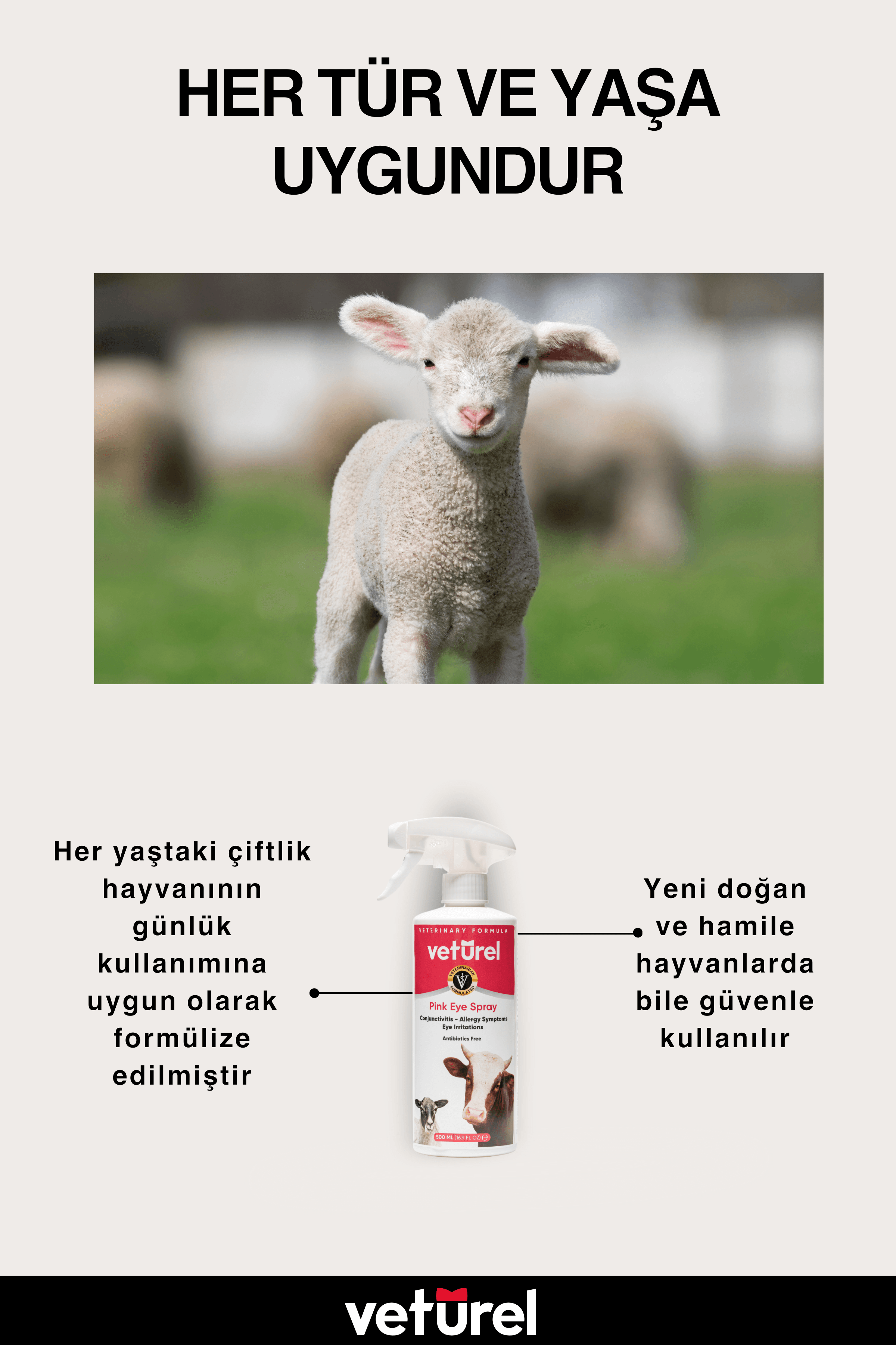 Göz Bakım İnek Koyun Çiftlik Hayvanı Göz Kızarıklığı Konjonktivit Bakımı Mukus Yıkama Spreyi 500ml