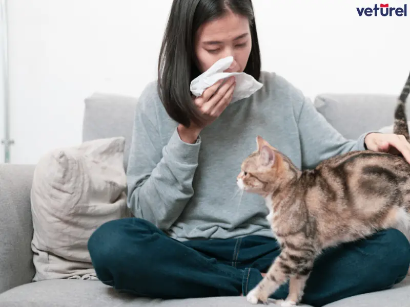 astım hastaları kedi besleyebilir mi 