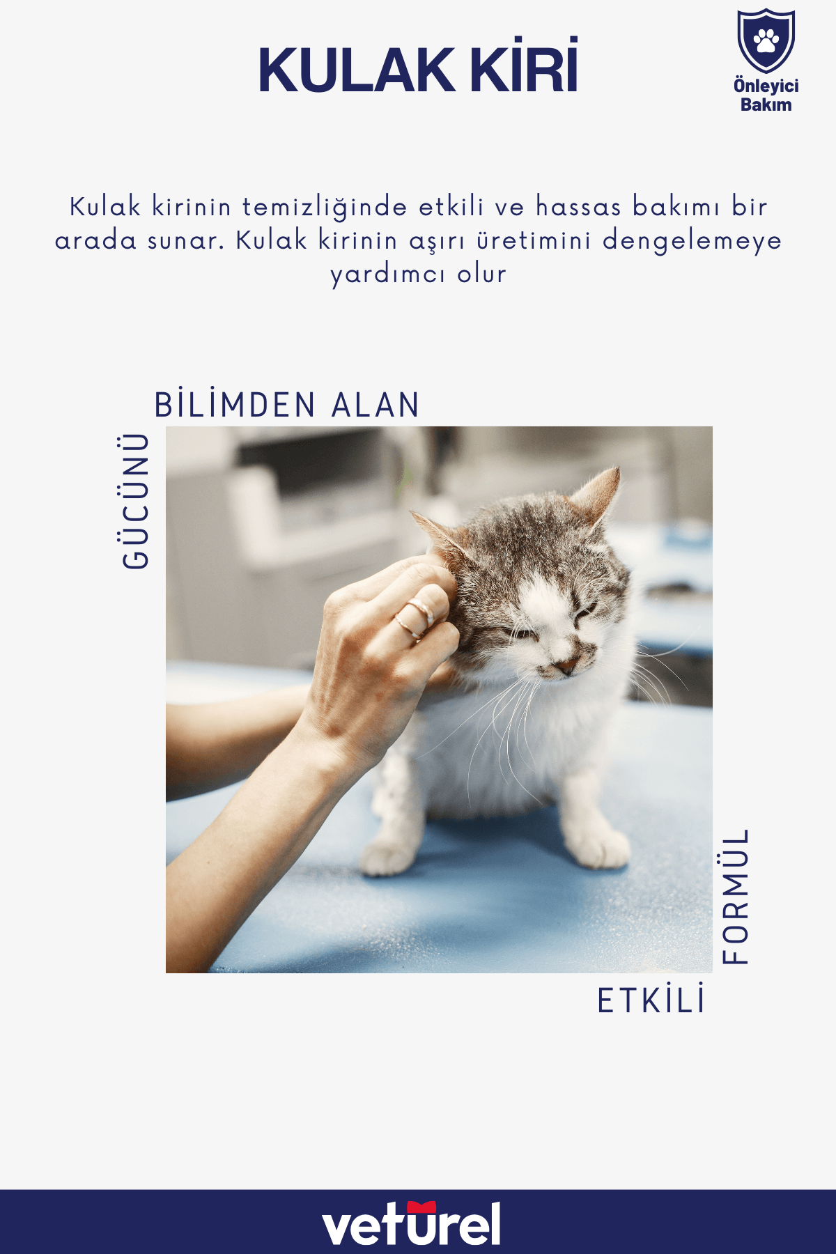 Köpek Kulak Temizleme Solüsyonu Kedi Kulak Uyuzu Kir Enfeksiyon Kaşıntı Koku Önleyici Damla 2x100ml