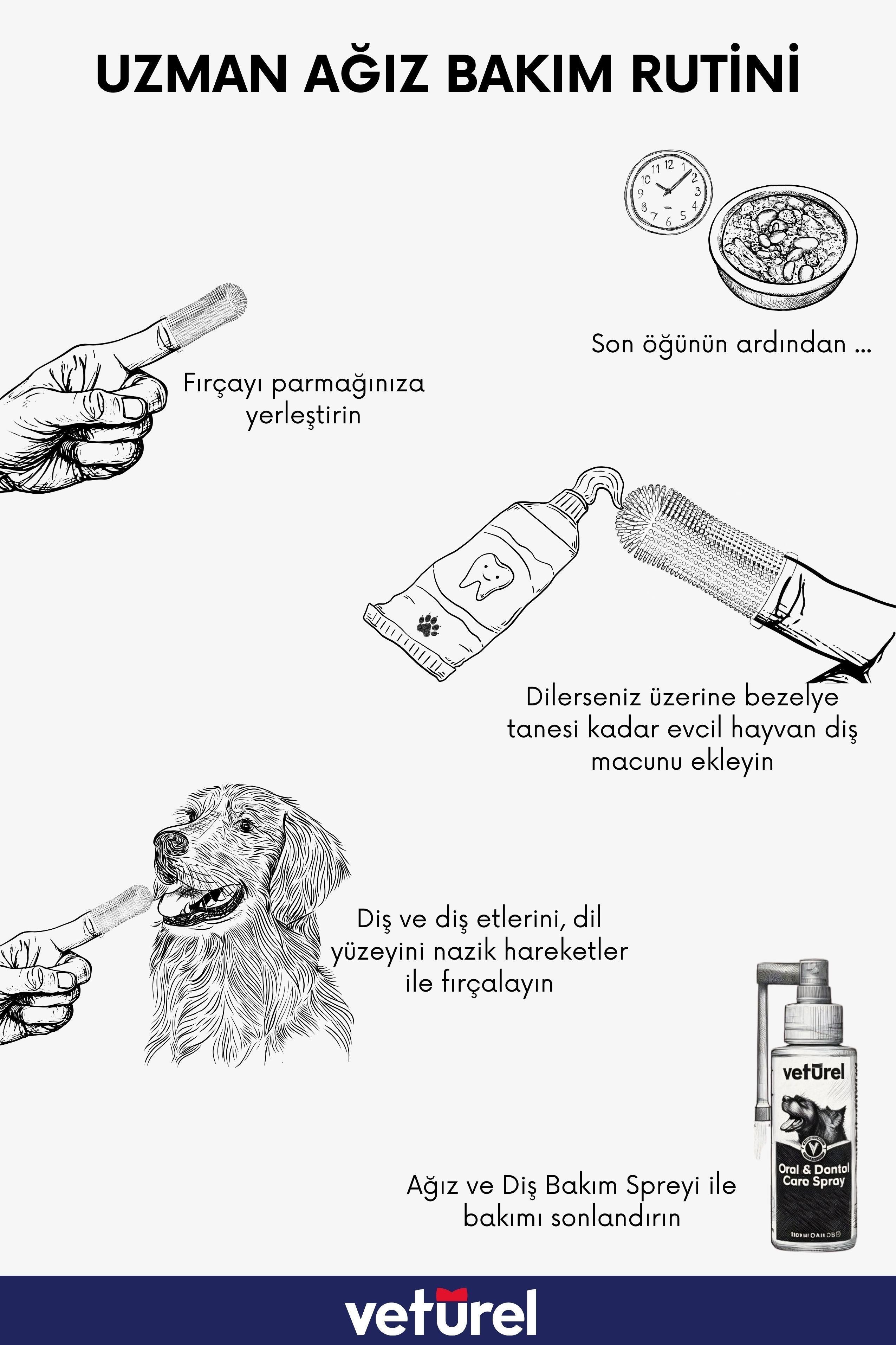 Köpek Diş Fırçası Köpek Parmak Silikon Ağız Kokusu Plak Tartar Kolay Kullanım Saklama Kutulu 3lü