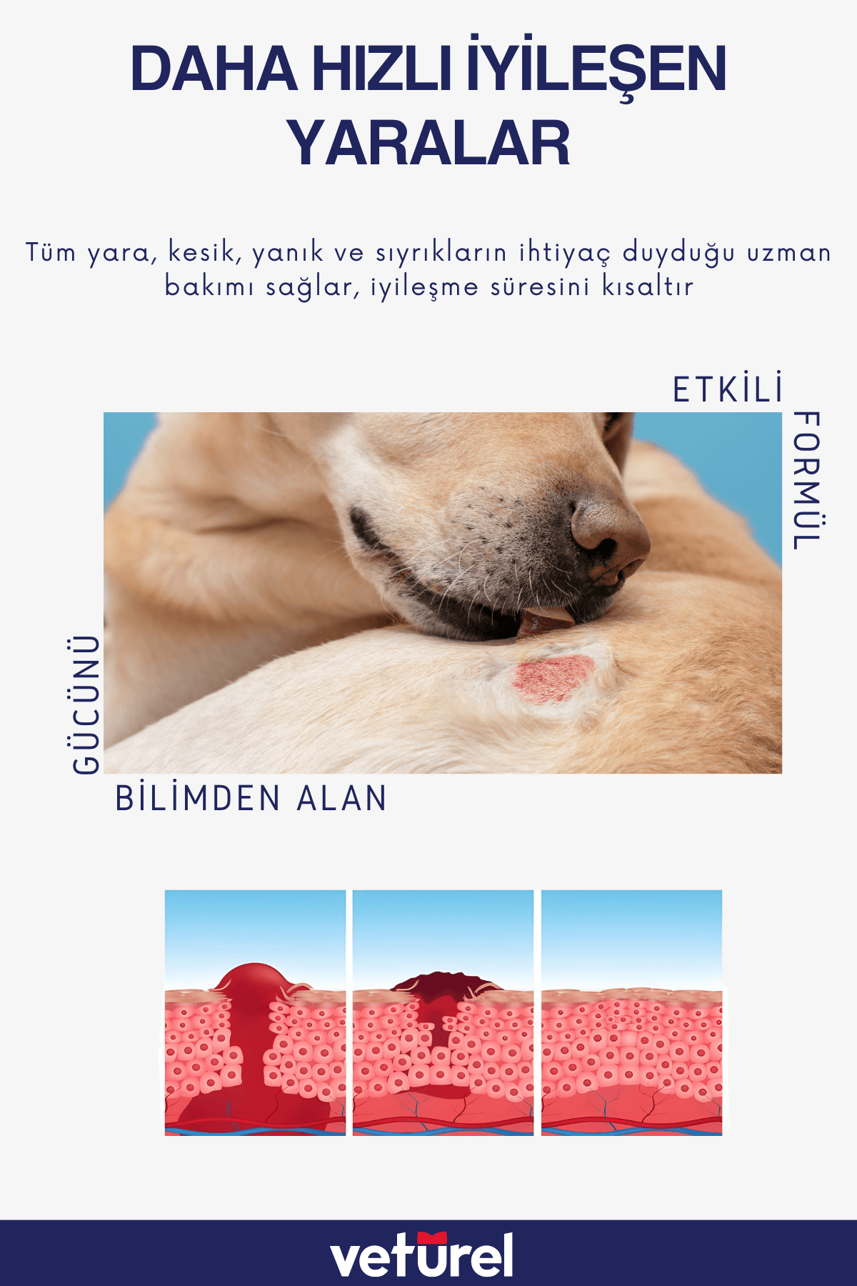 Kedi Köpek Yara Deri Günlük Bakımı Saf Hipokloröz Yanık Kızarıklık Tahriş Hot Spot Yara Spreyi 300ml