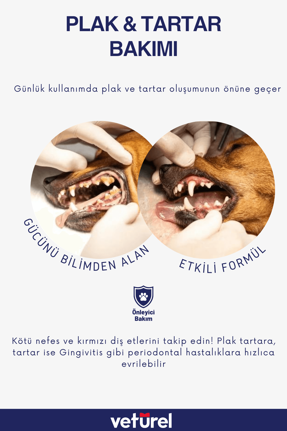 Köpek Pati Temizleme Köpek Ağız Kokusu Köpek Sağlık Pati Tüy Bakım 300ml - Ağız ve Diş Bakım Spreyi