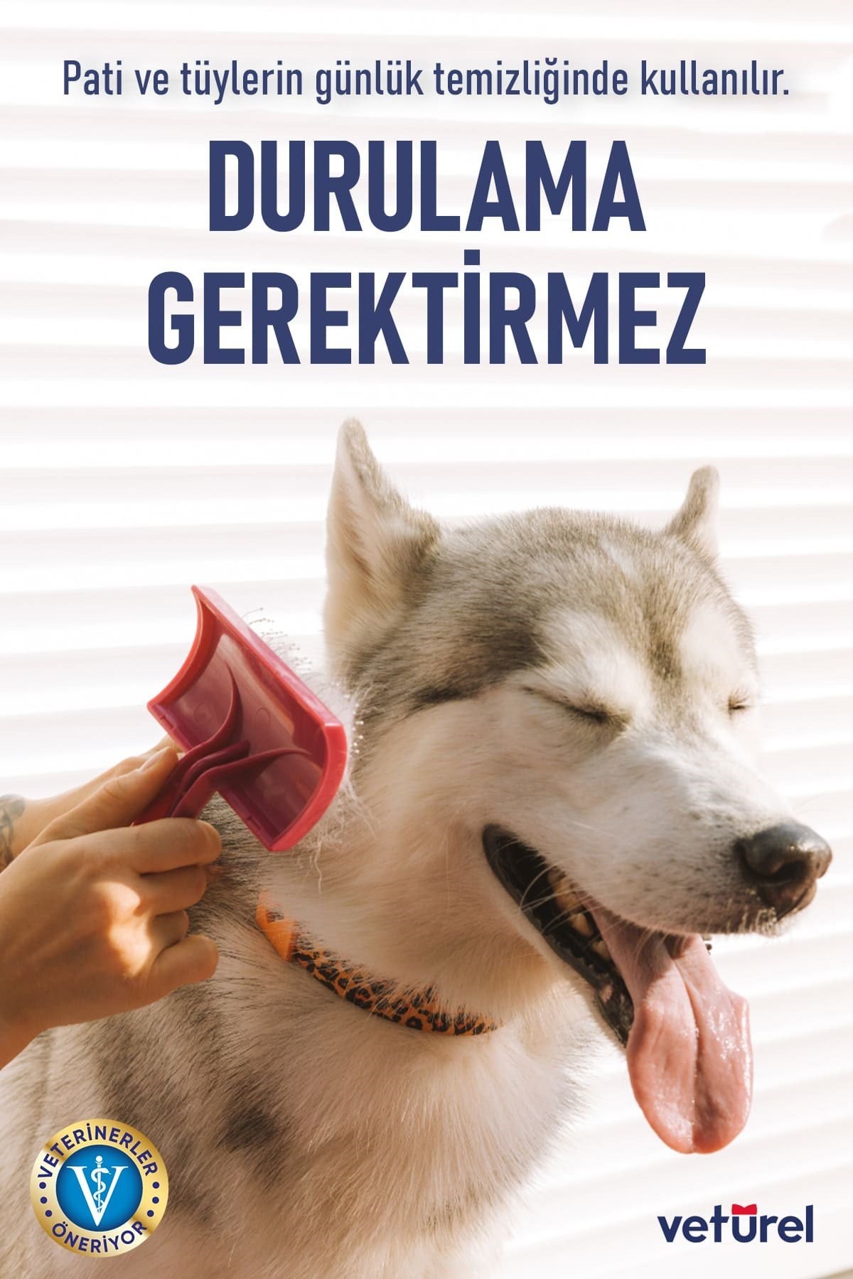 Parfümsüz Köpüksüz Pati Temizleme Koku Giderici Enfeksiyon Önleyici Tüy Tarama Bakım Sprey Seti