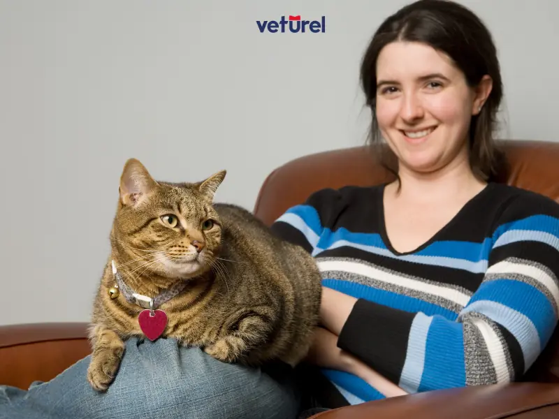 kediler kucağa nasıl alıştırılır