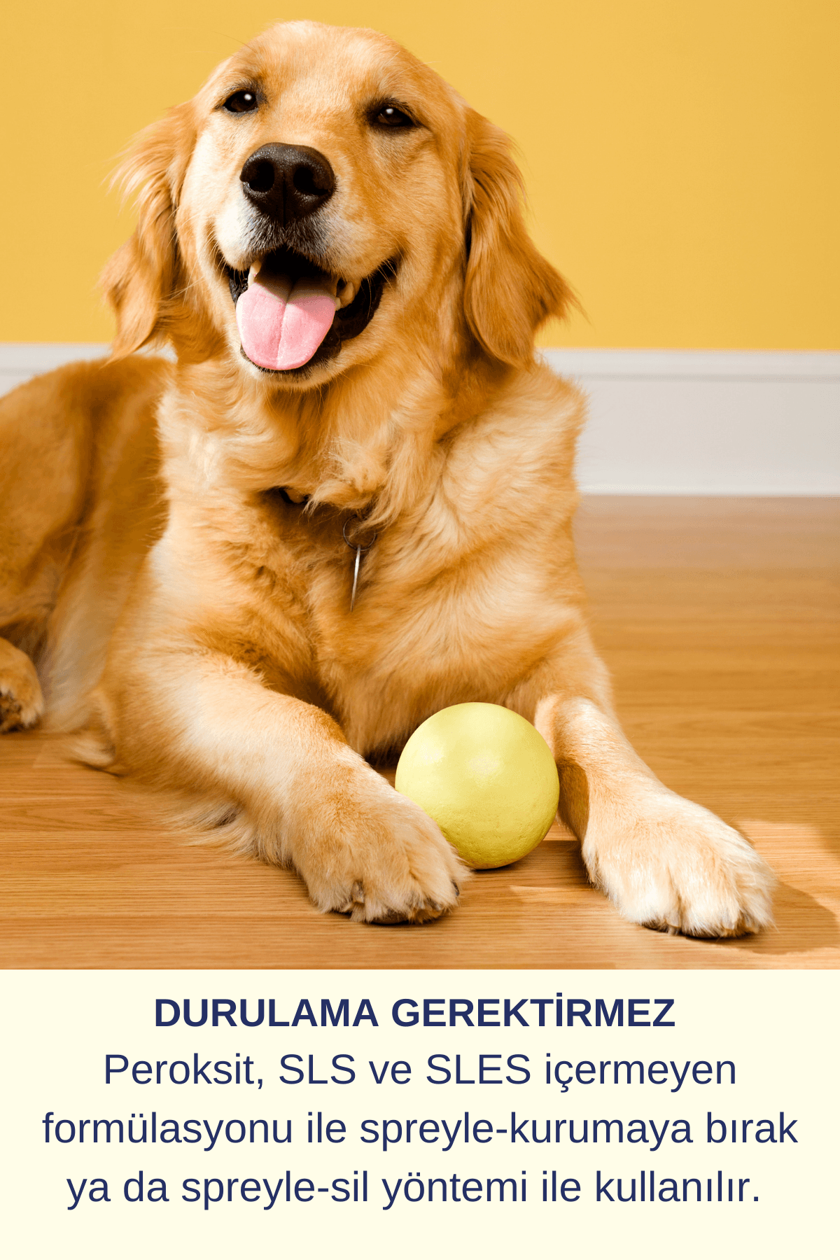 Köpek Çiş Spreyi  Kedi Kumu Koku Giderici Kedi Koku Giderici Kedi Çiş Kokusu Giderici Set