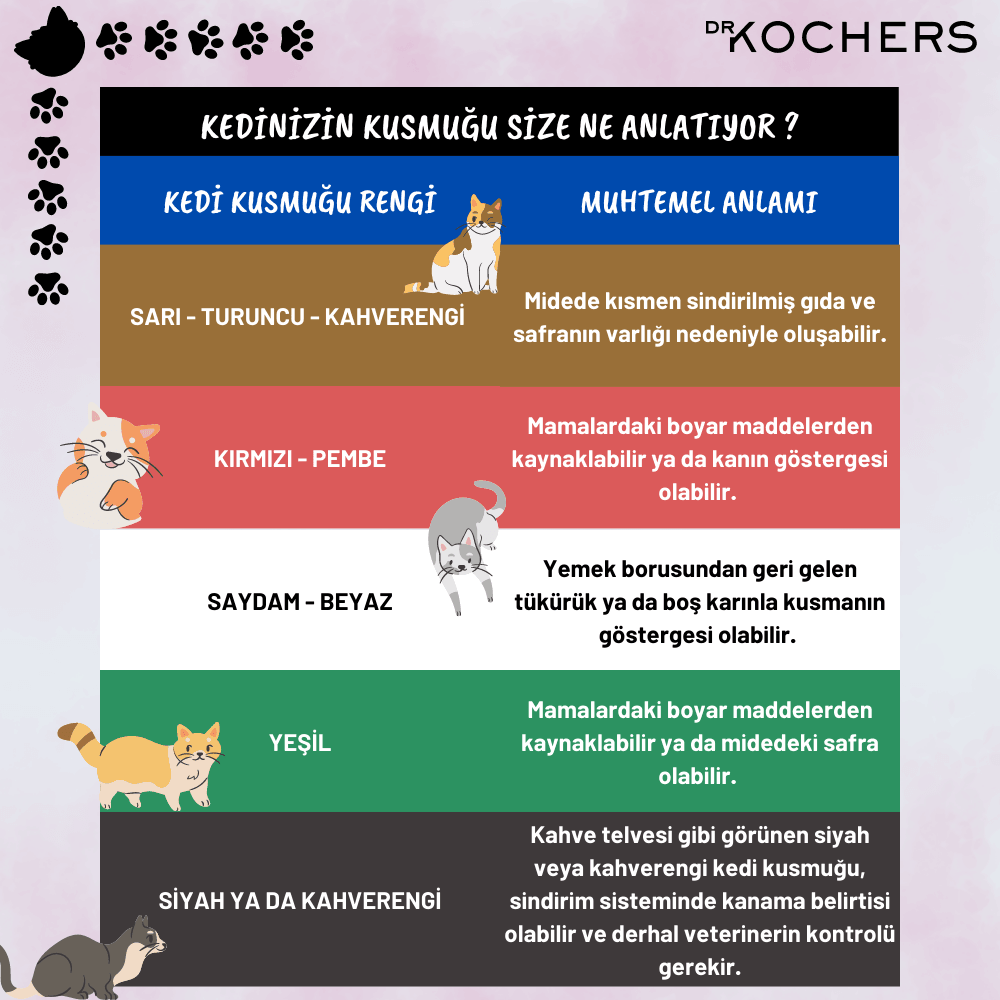 kediler neden kusar